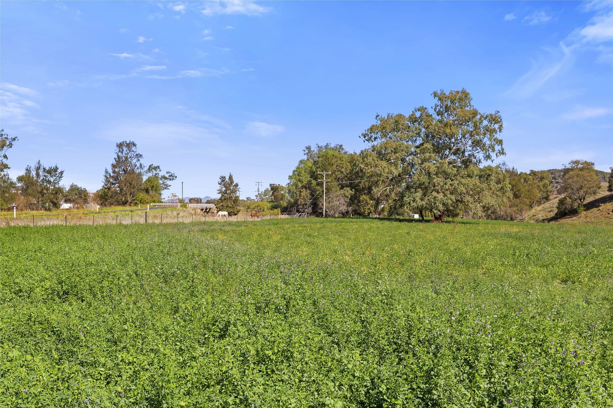 423 Garthowen Road, Tamworth NSW 2340, Tamworth - Image 1
