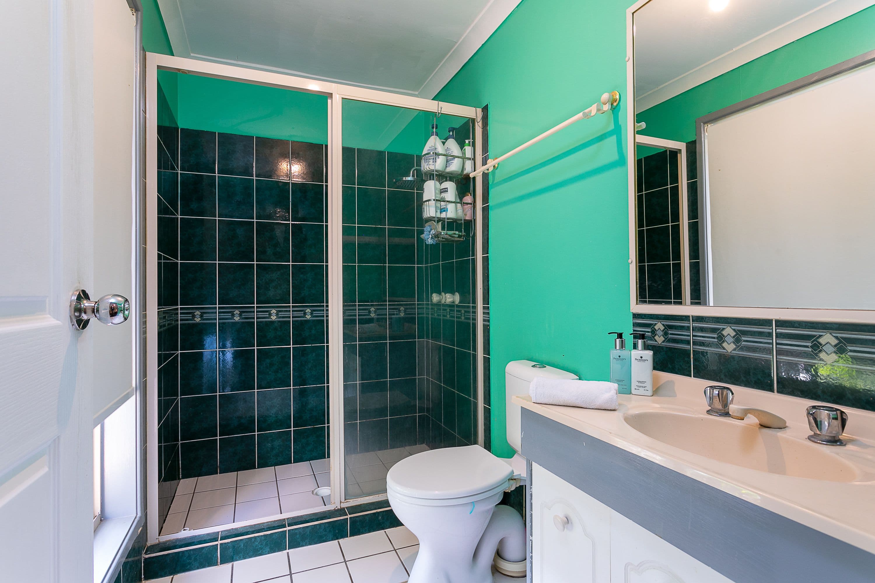 41 Juanita Street, Birkdale QLD 4159, Birkdale - Thumbnail 8