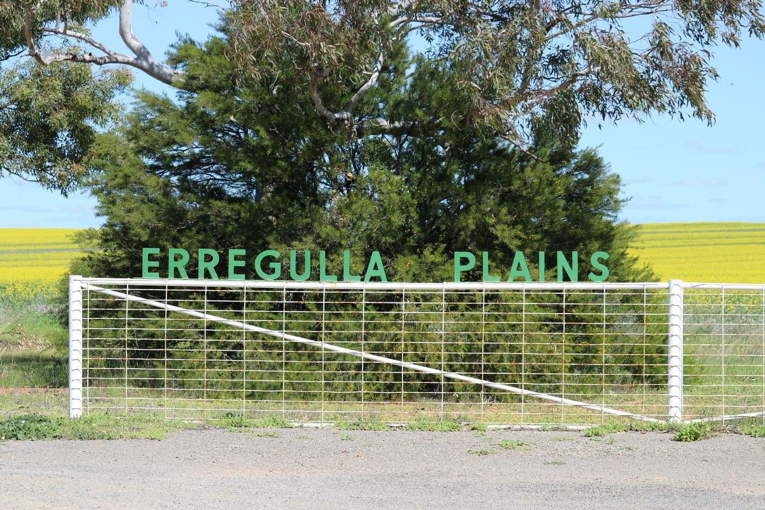 Erregulla Plains, Midlands Road, Mingenew WA 6522, Mingenew - Image 1