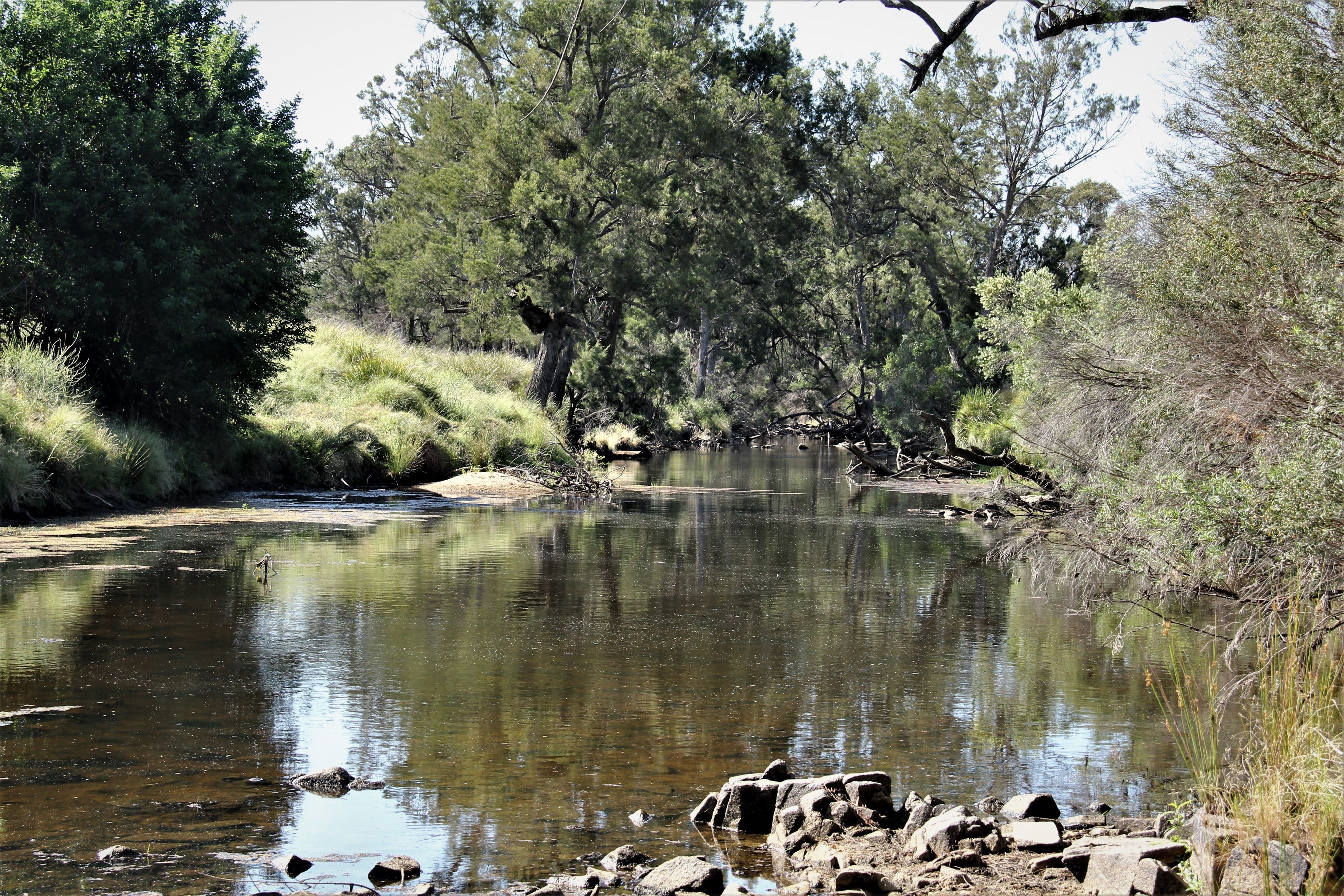 77 Tarban Loop Road, Tenterfield NSW 2372, Tenterfield - Thumbnail 5