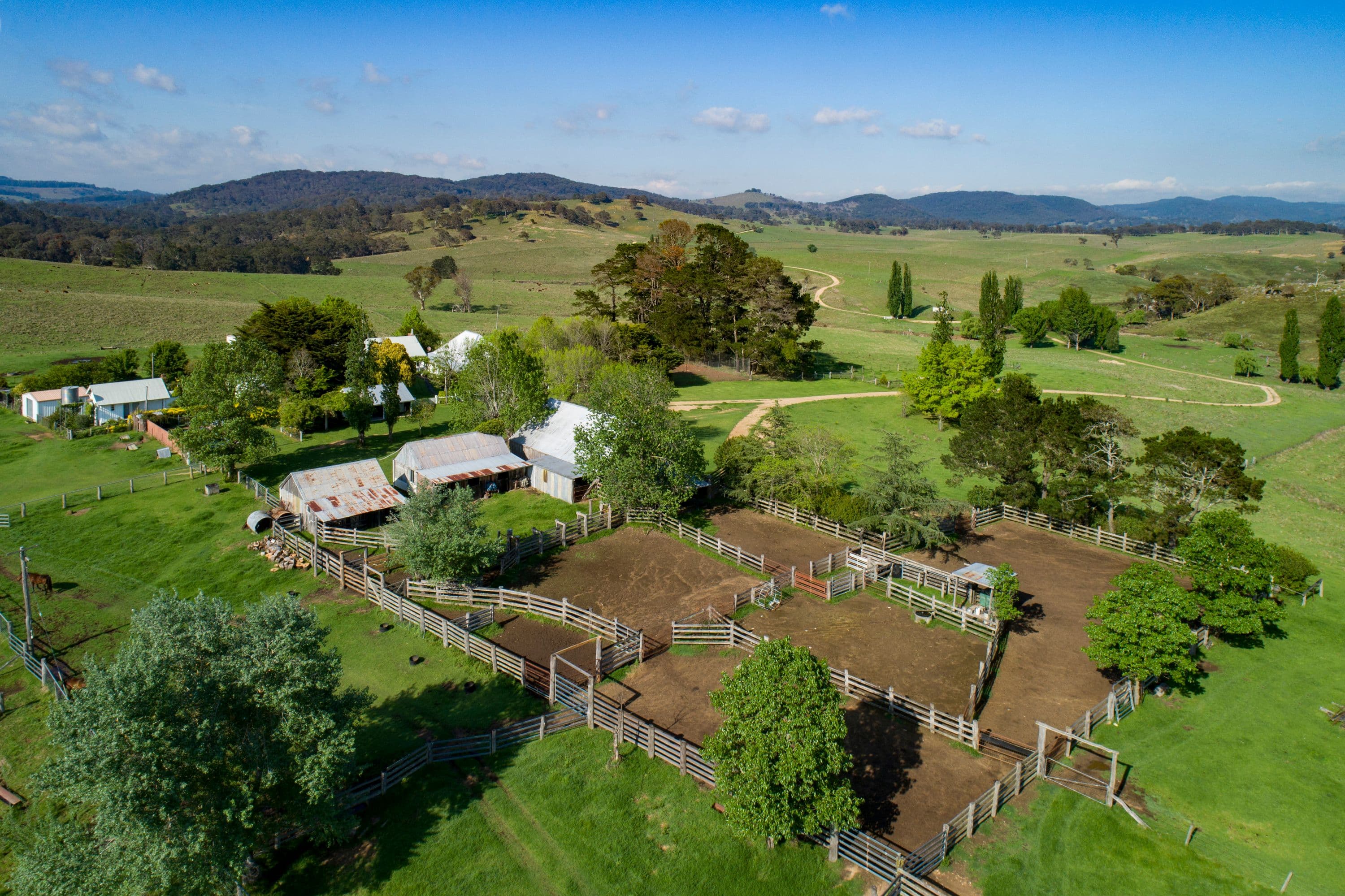 1043 Billirimba Road, Tenterfield NSW 2372, Tenterfield - Thumbnail 5