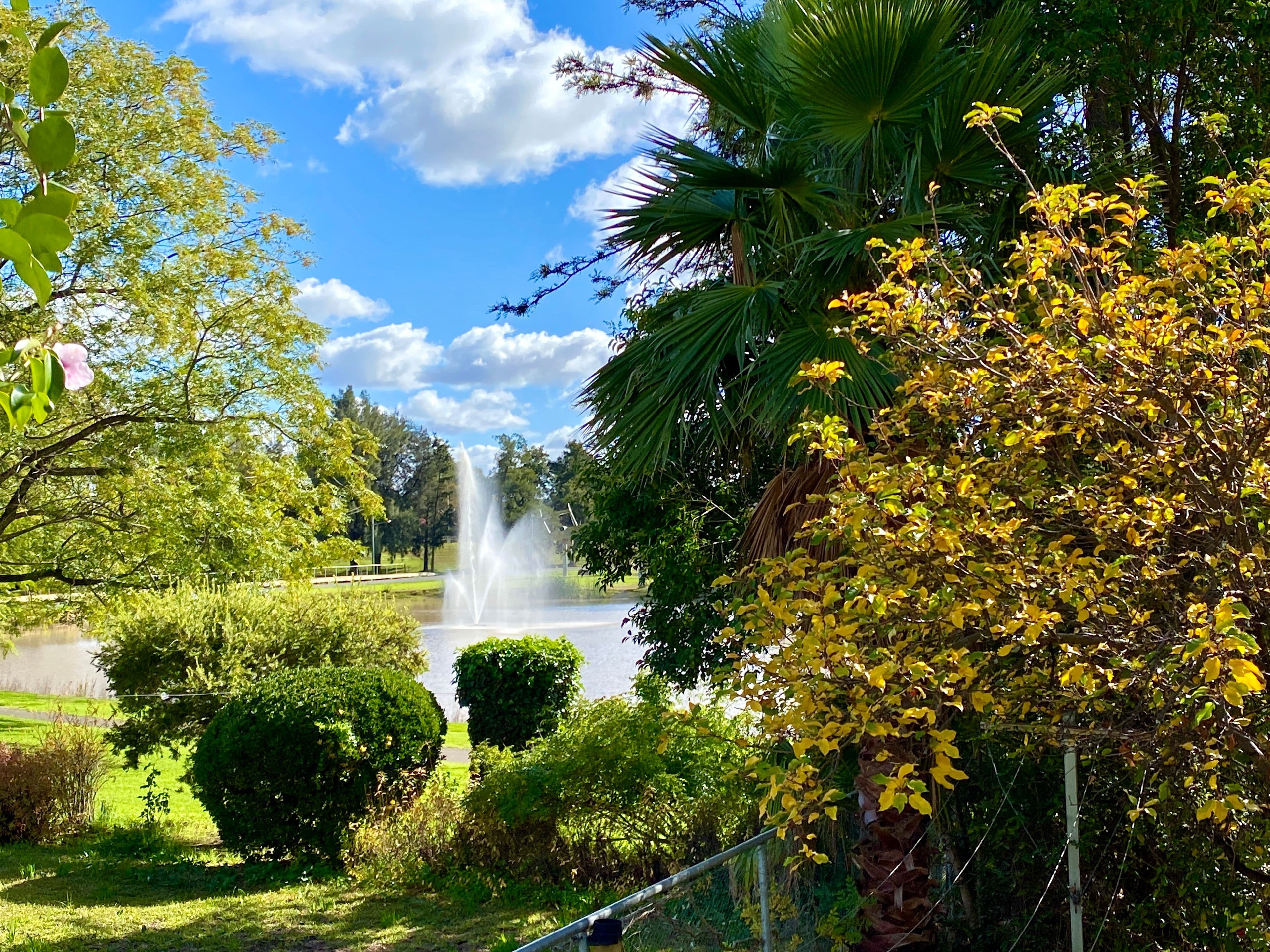 14 Bandon Street, Forbes NSW 2871, Forbes - Thumbnail 2