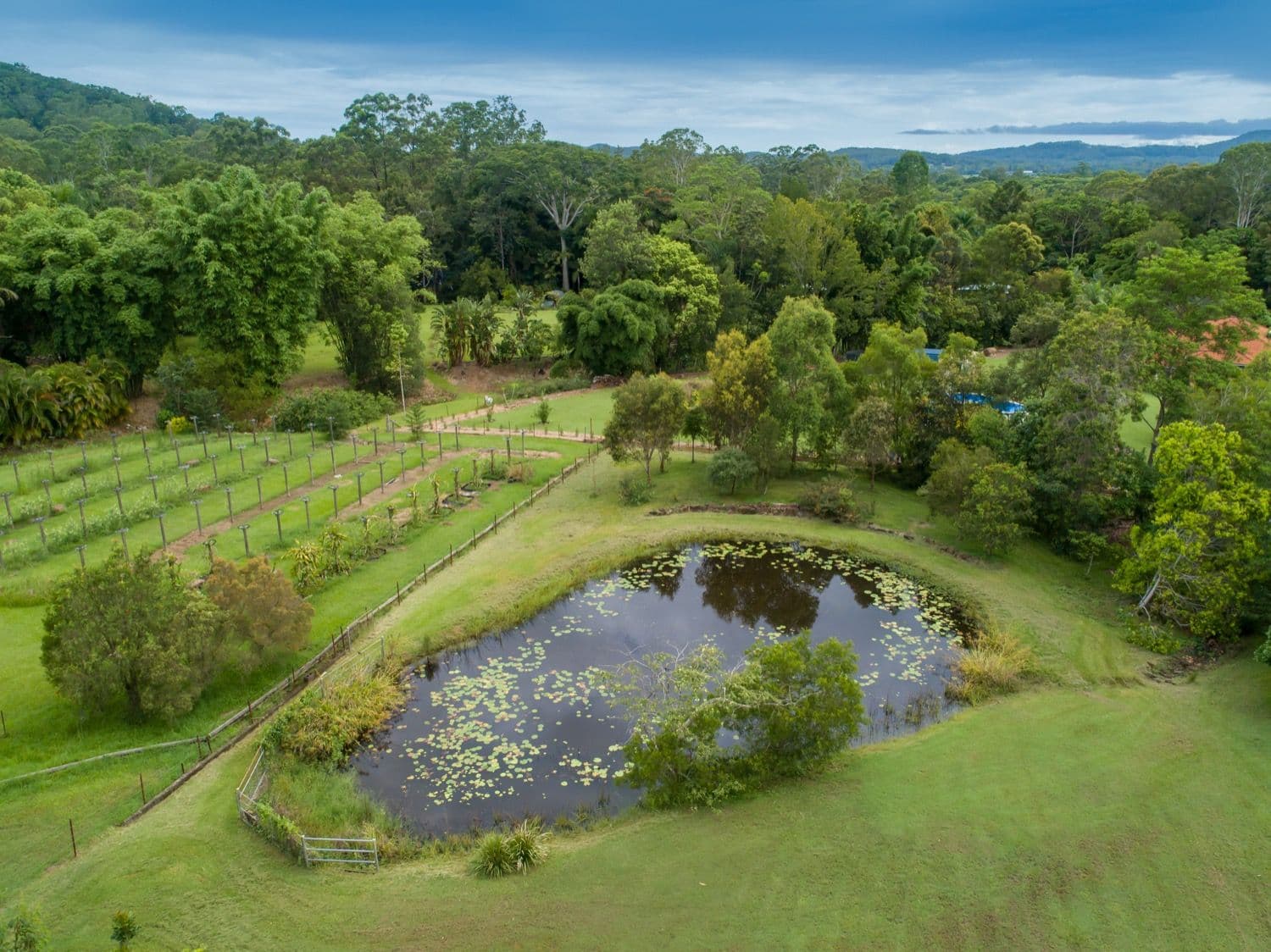 54 Jensen Road, Ninderry QLD 4561, Ninderry - Thumbnail 3