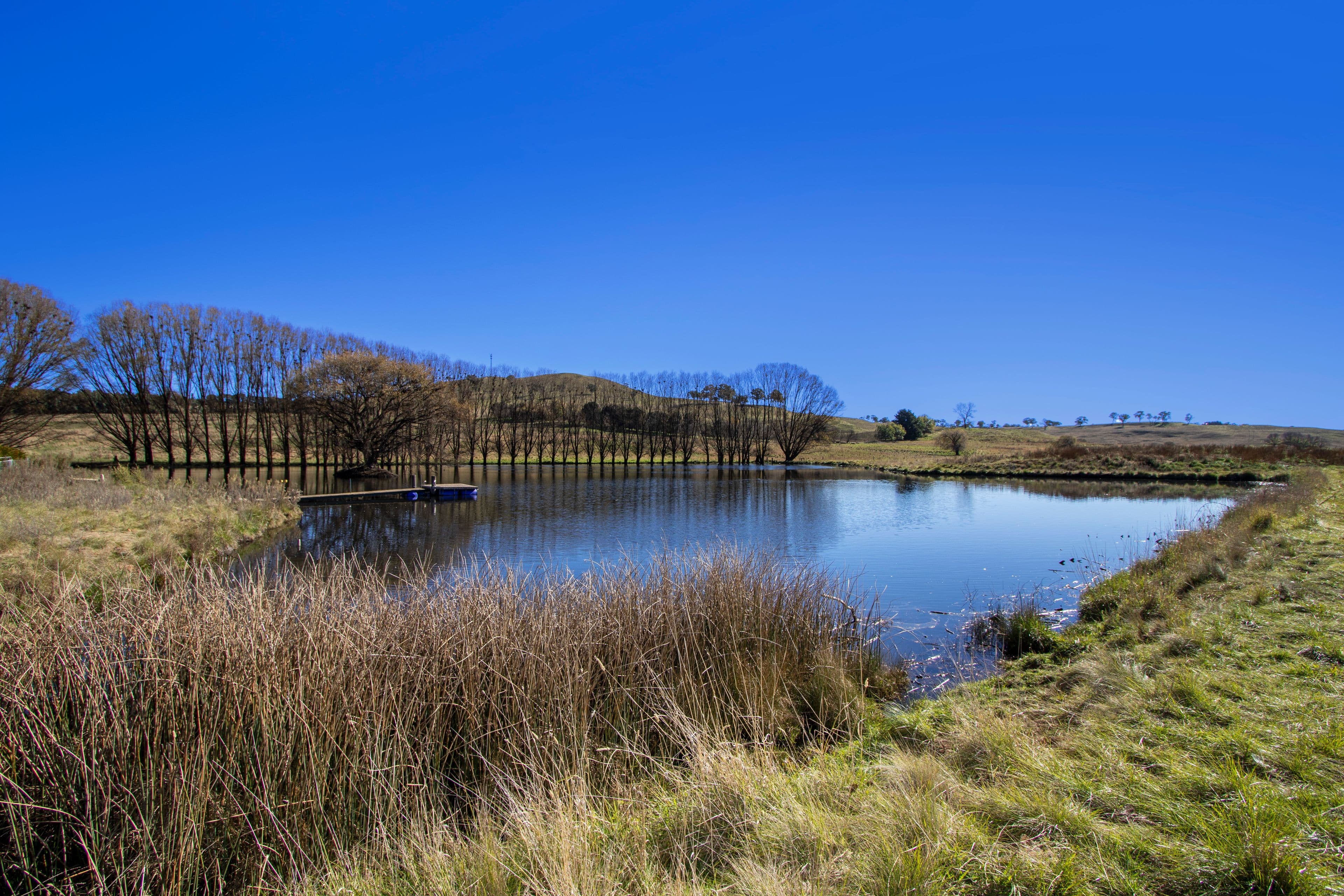 207 Urandangie Road, Guyra NSW 2365, Guyra - Thumbnail 5