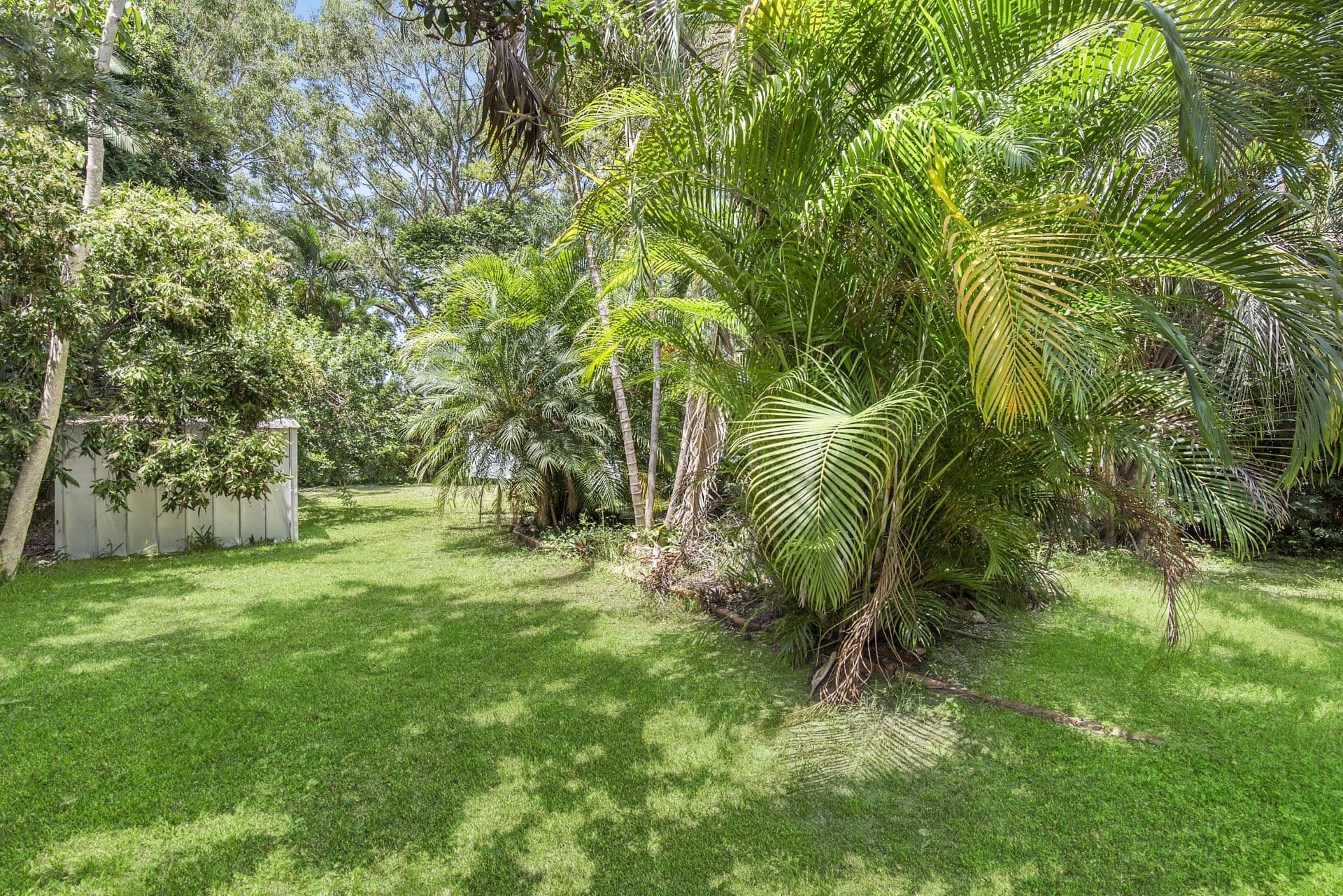 38 Webster Road, Deception Bay QLD 4508, Deception Bay - Thumbnail 4