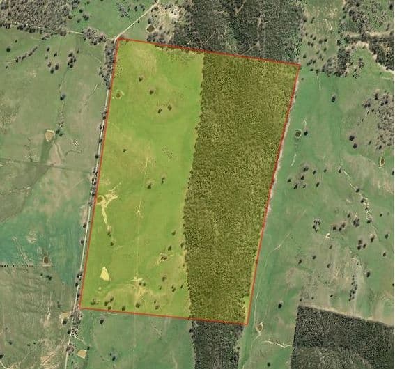 Lot 1 Fragar Road (Part 'Lowanna'), Cowra NSW 2794, Cowra - Thumbnail 5