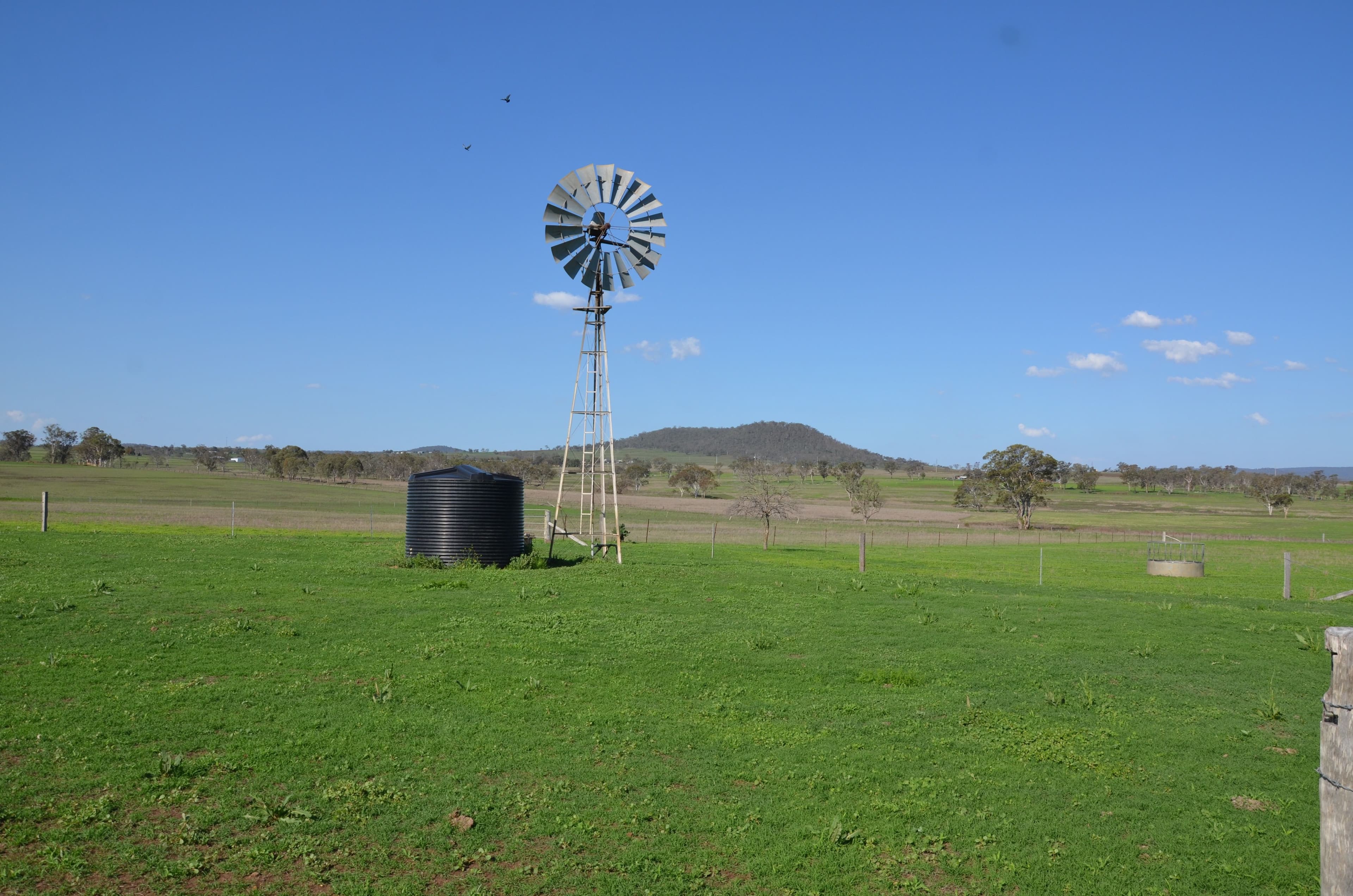 164 Palmer Road, NOBBY QLD 4360, Nobby - Thumbnail 6