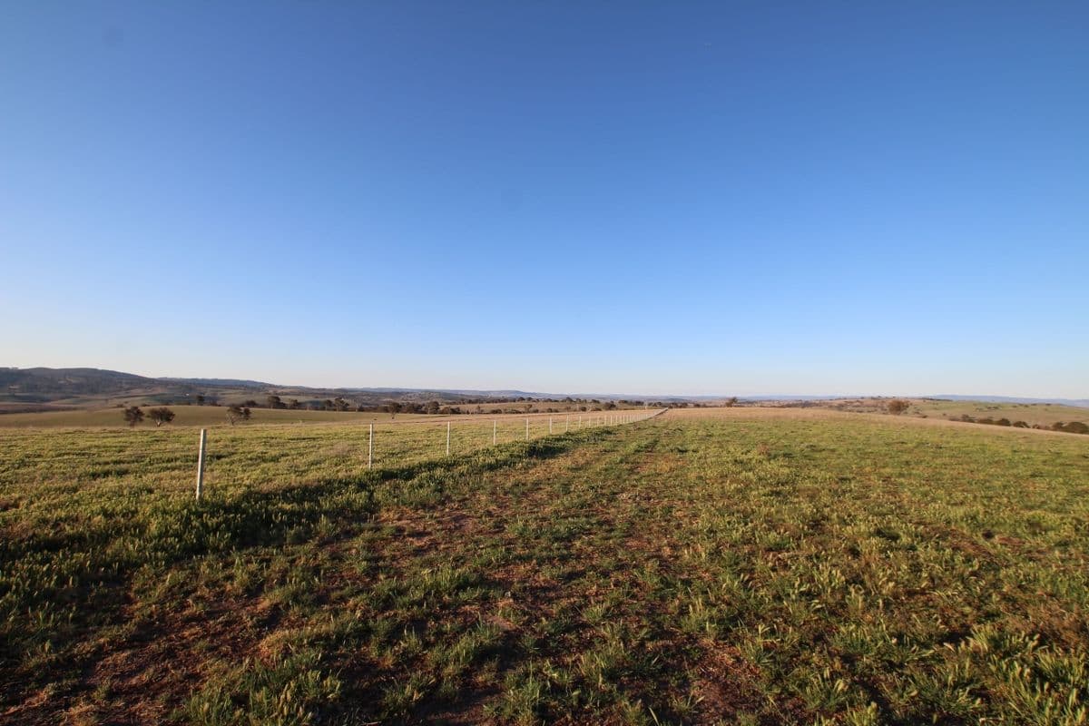 374 Wimbledon Road, Bathurst NSW 2795, Bathurst - Thumbnail 5