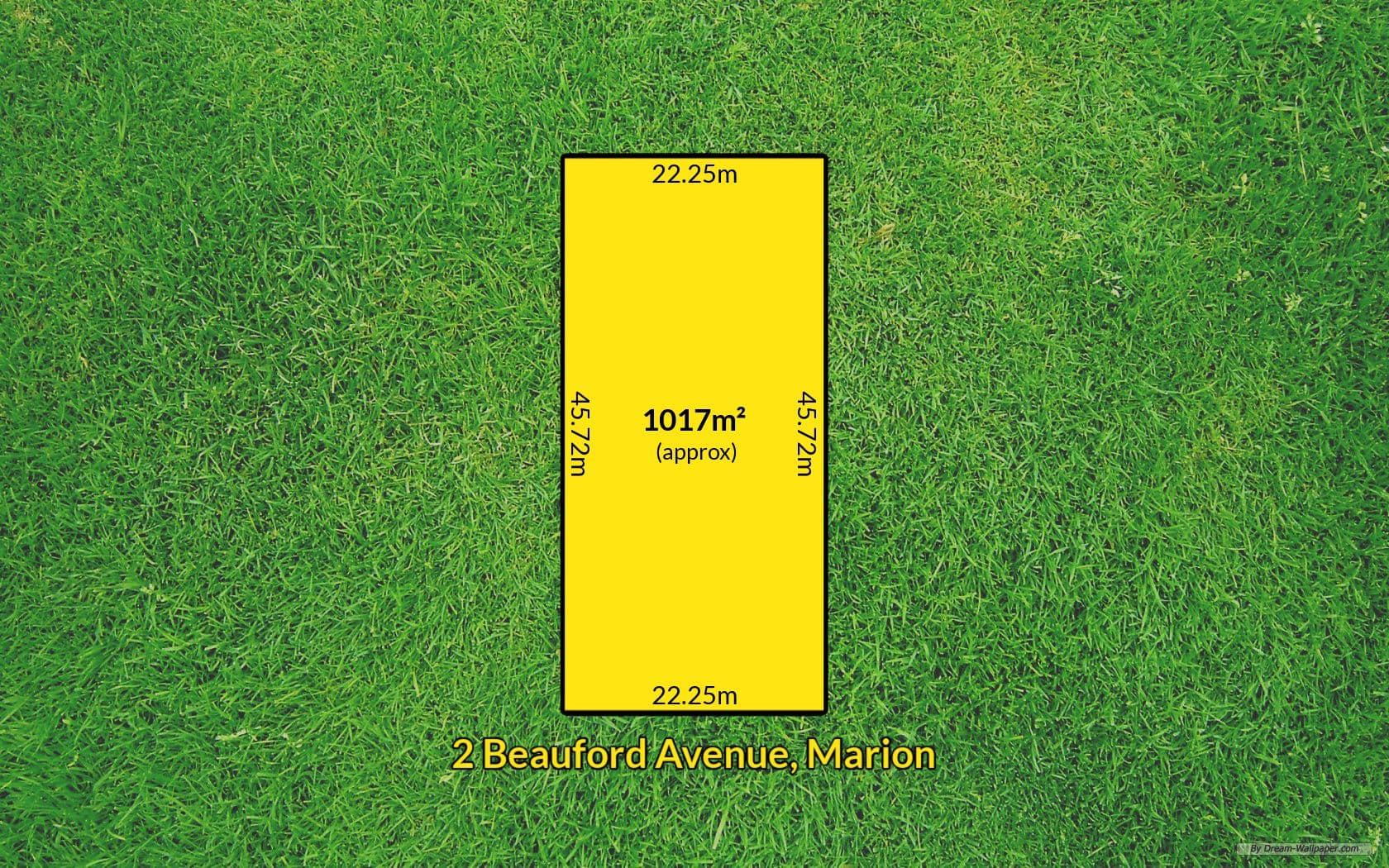 2 Beauford Avenue, Marion SA 5043, Marion - Thumbnail 2