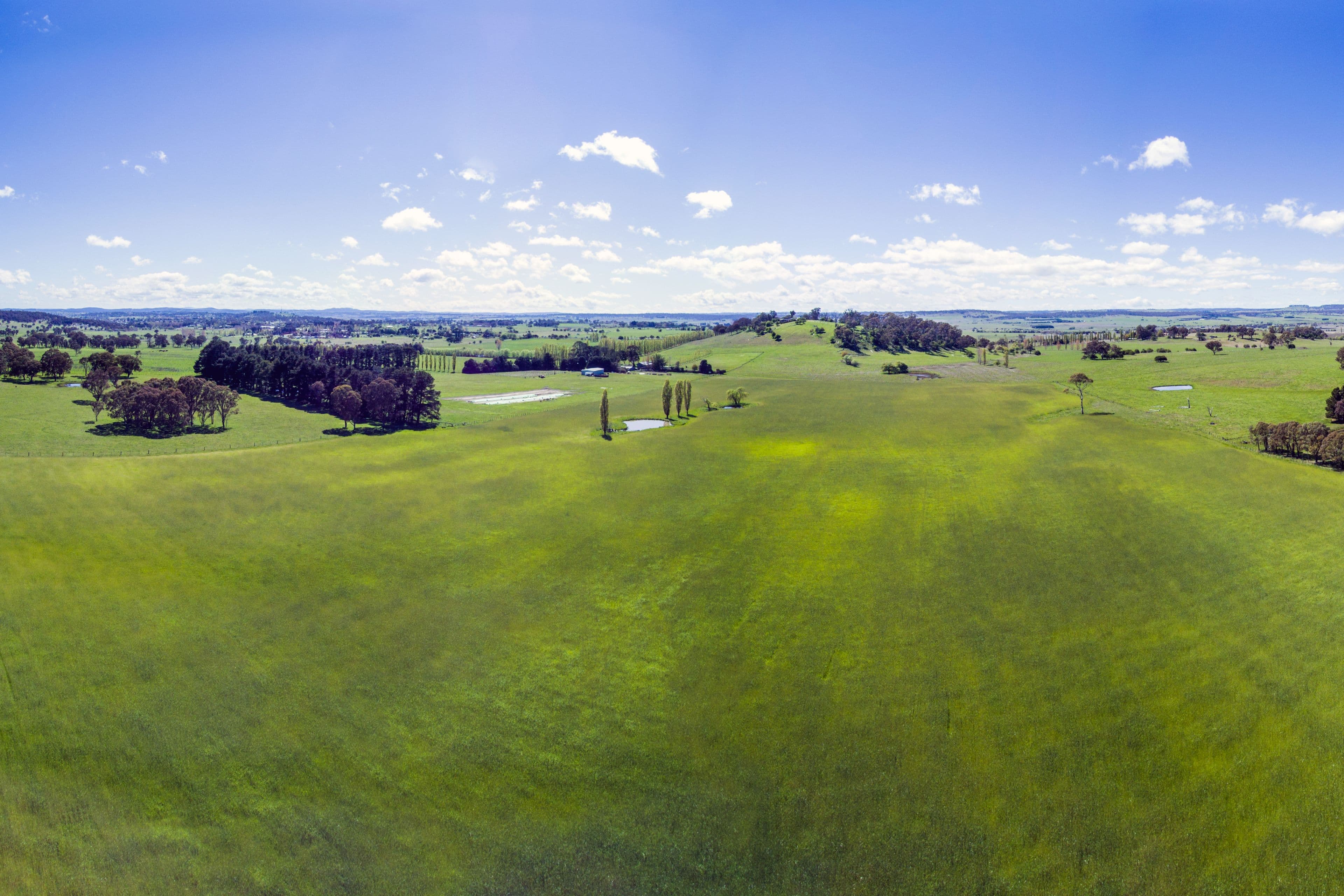 8 Winters Road, Glen Innes NSW 2370, Glen Innes - Thumbnail 6