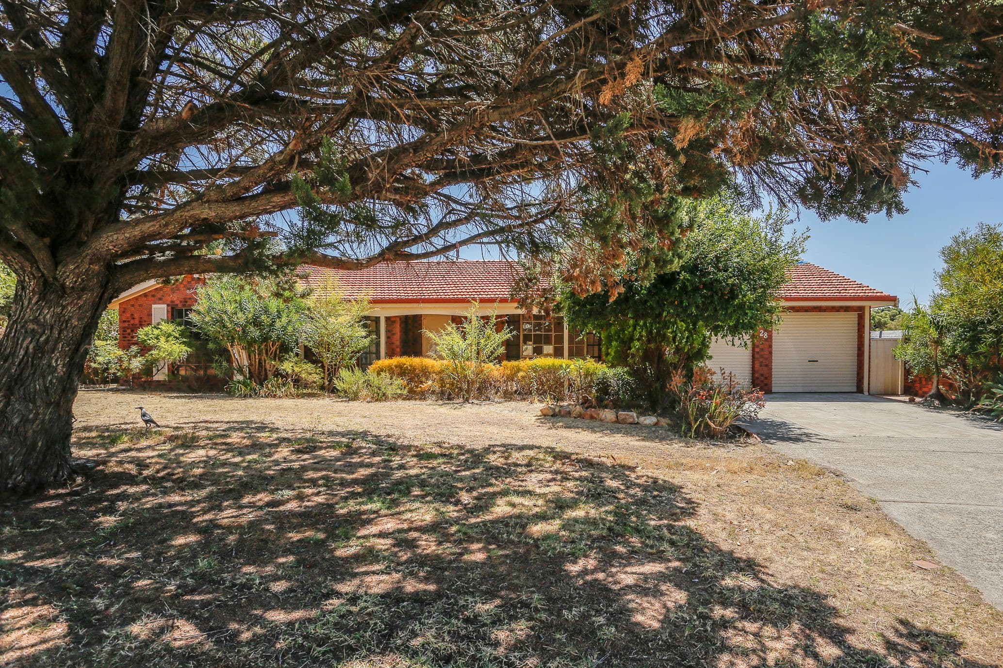28 Cornhill Crescent, Alexander Heights WA 6064, Alexander Heights - Thumbnail 2