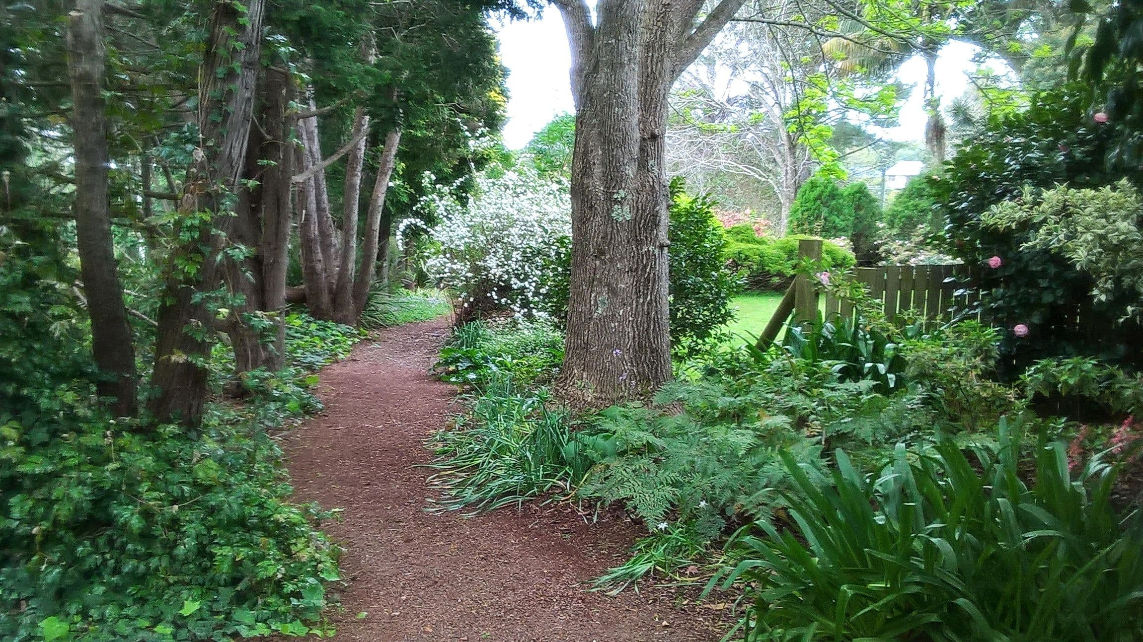 101-111 Coomera Gorge Drive, Tamborine Mountain QLD 4272, Tamborine Mountain - Thumbnail 3