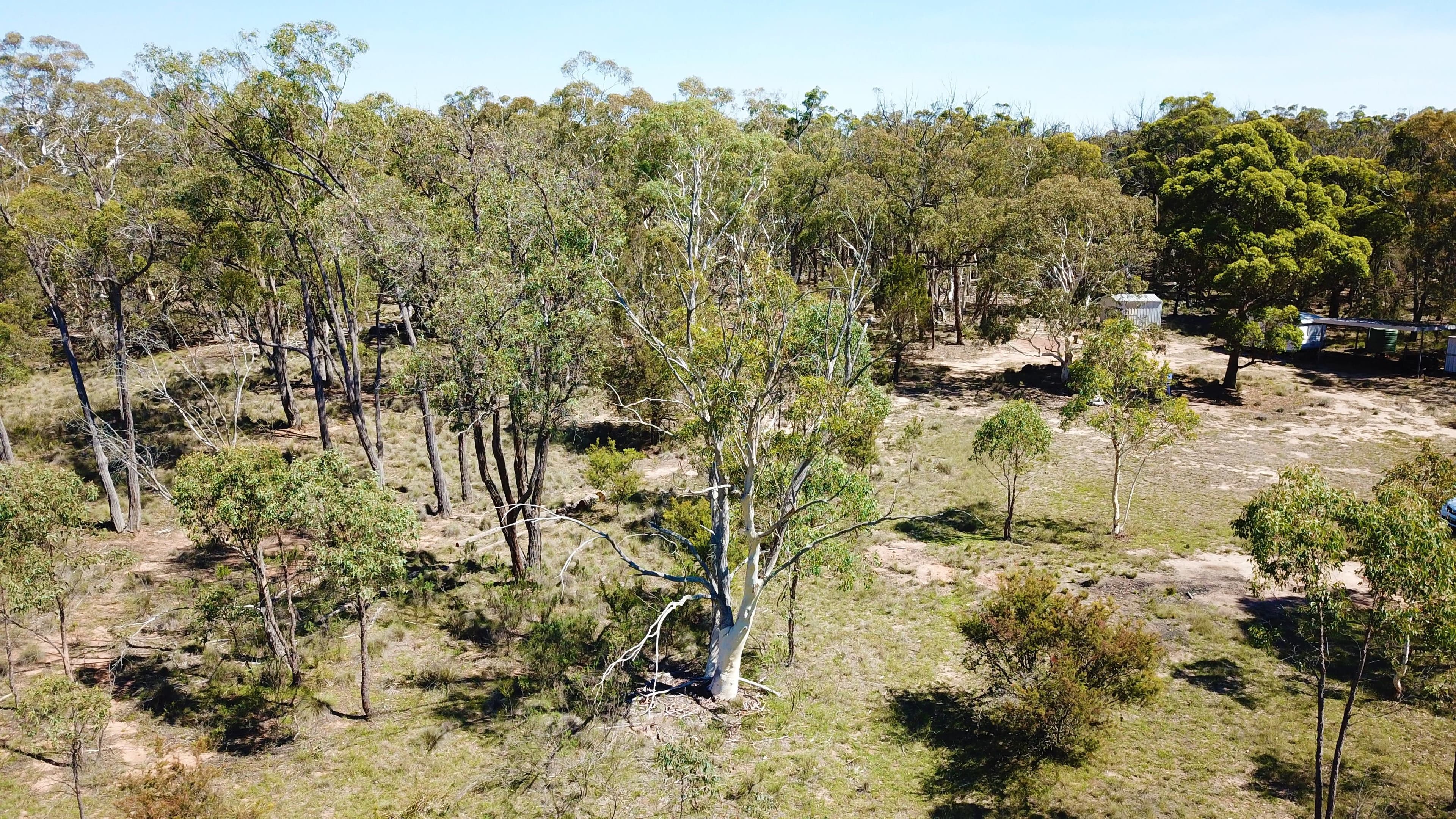 104 Masons and Owens Road, Goulburn NSW 2580, Goulburn - Thumbnail 4