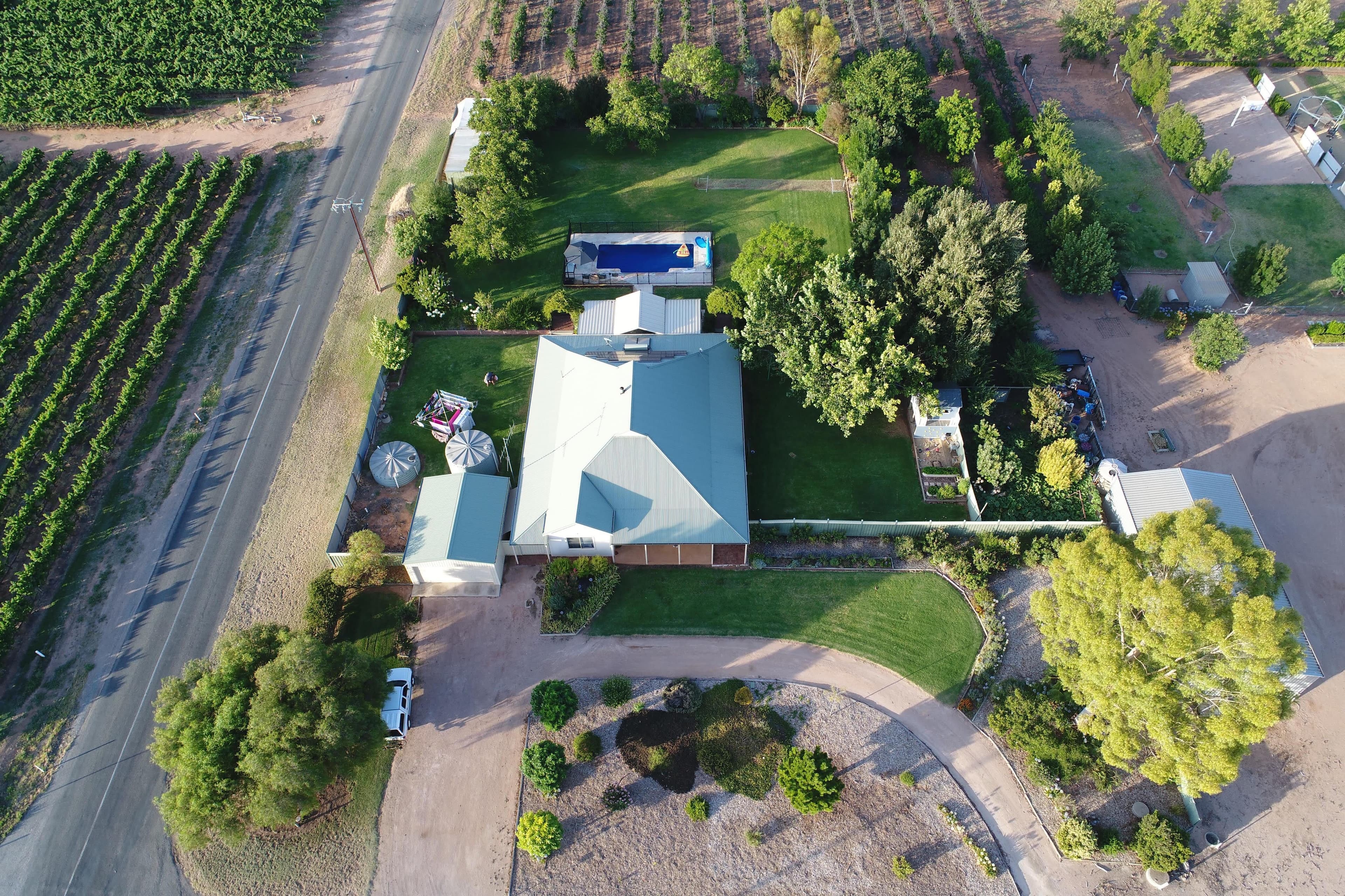 104 Rialto Street, Renmark SA 5341, Renmark West - Thumbnail 2