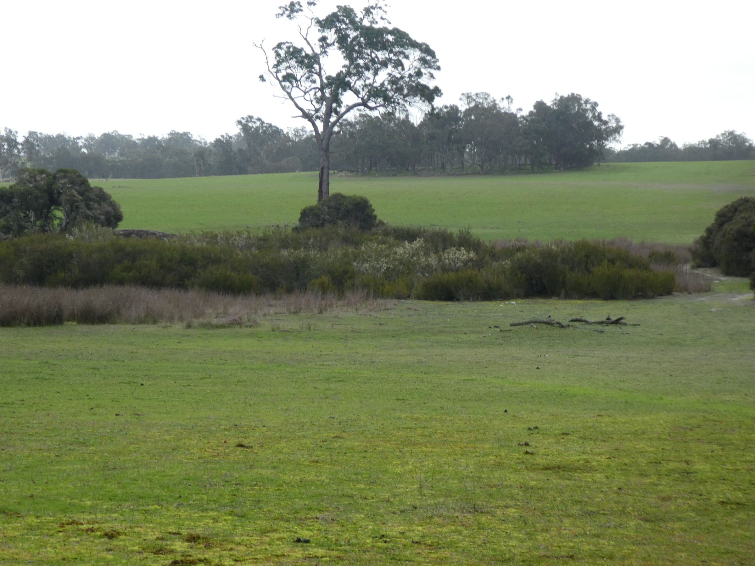 Lot 2249 Rocky Gully Road, Rocky Gully WA 6397, Rocky Gully - Thumbnail 2