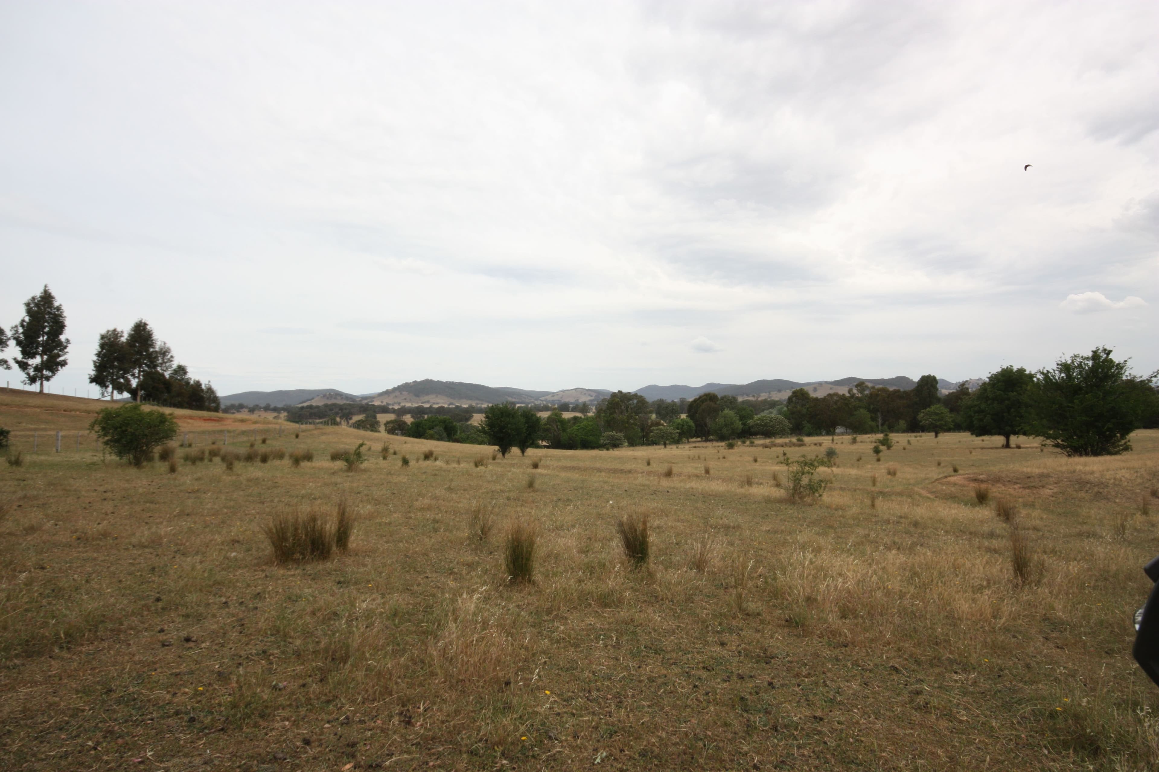 1805 Kilfeera Road, Molyullah VIC 3673, Molyullah - Thumbnail 3