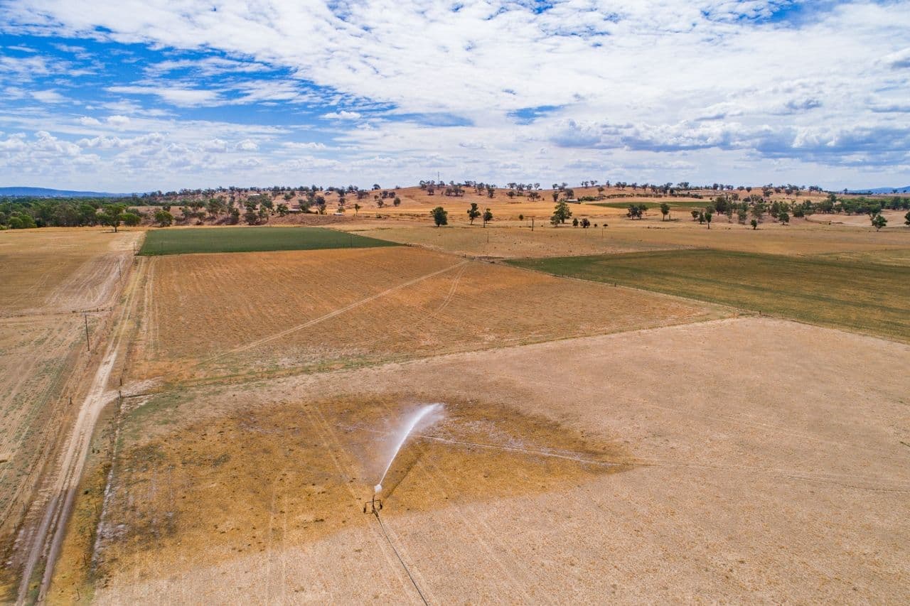 'Bayview' Windowrie Road, Billimari NSW 2804, Billimari - Thumbnail 5