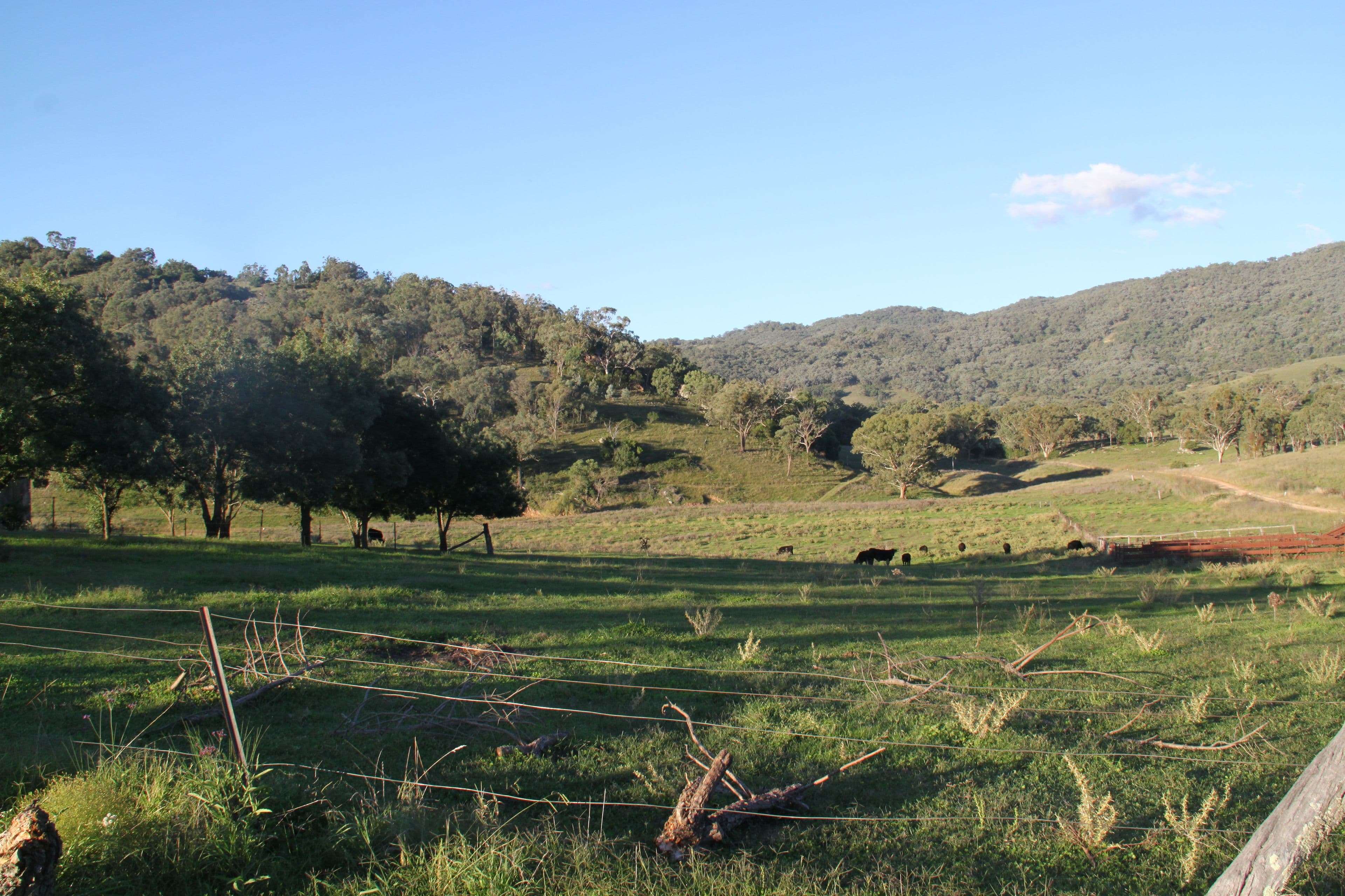 97 Woolomin Gap Road, Woolomin NSW 2340, Woolomin - Thumbnail 4