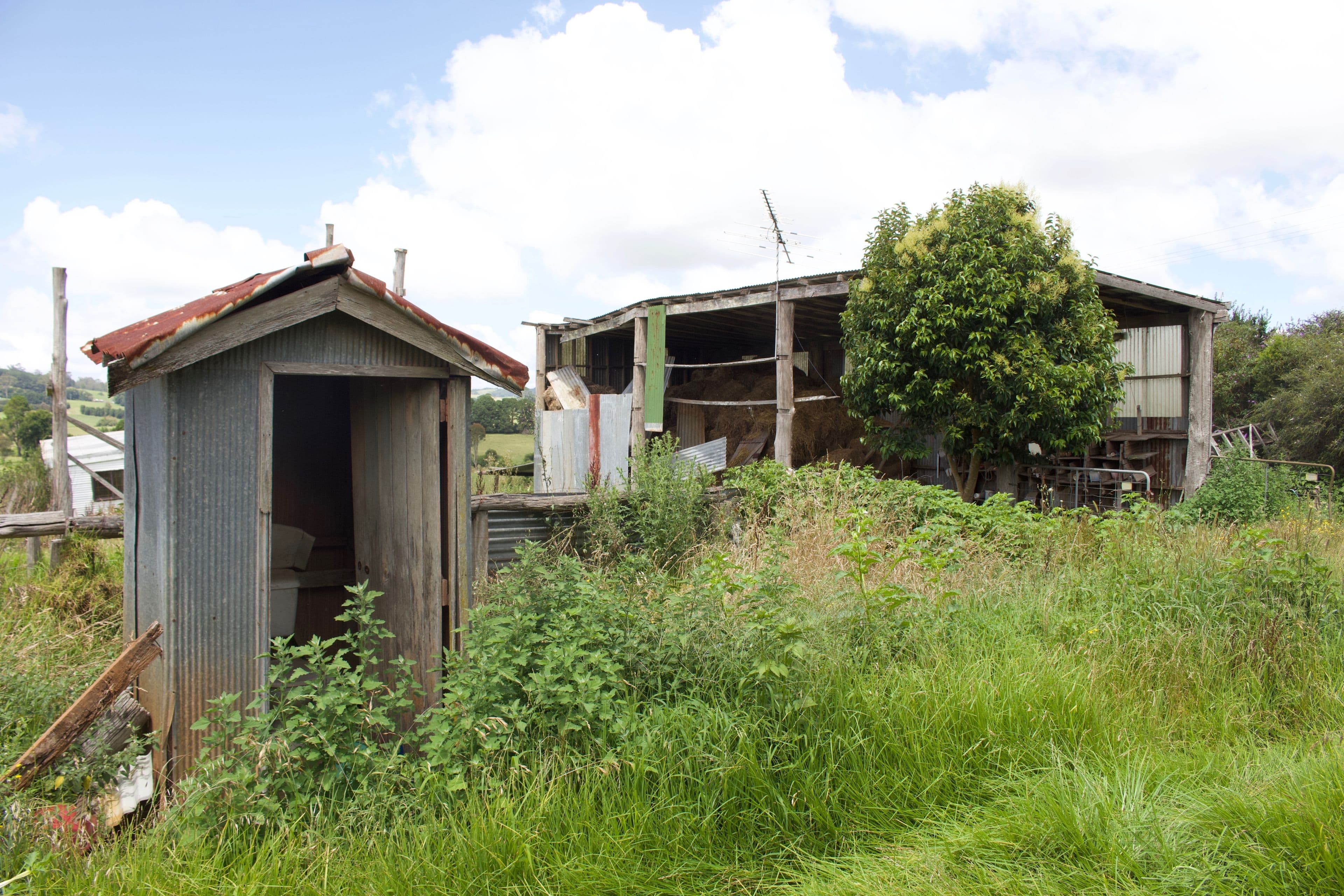 4303 Waterfall Way, Dorrigo NSW 2453, Dorrigo - Thumbnail 7