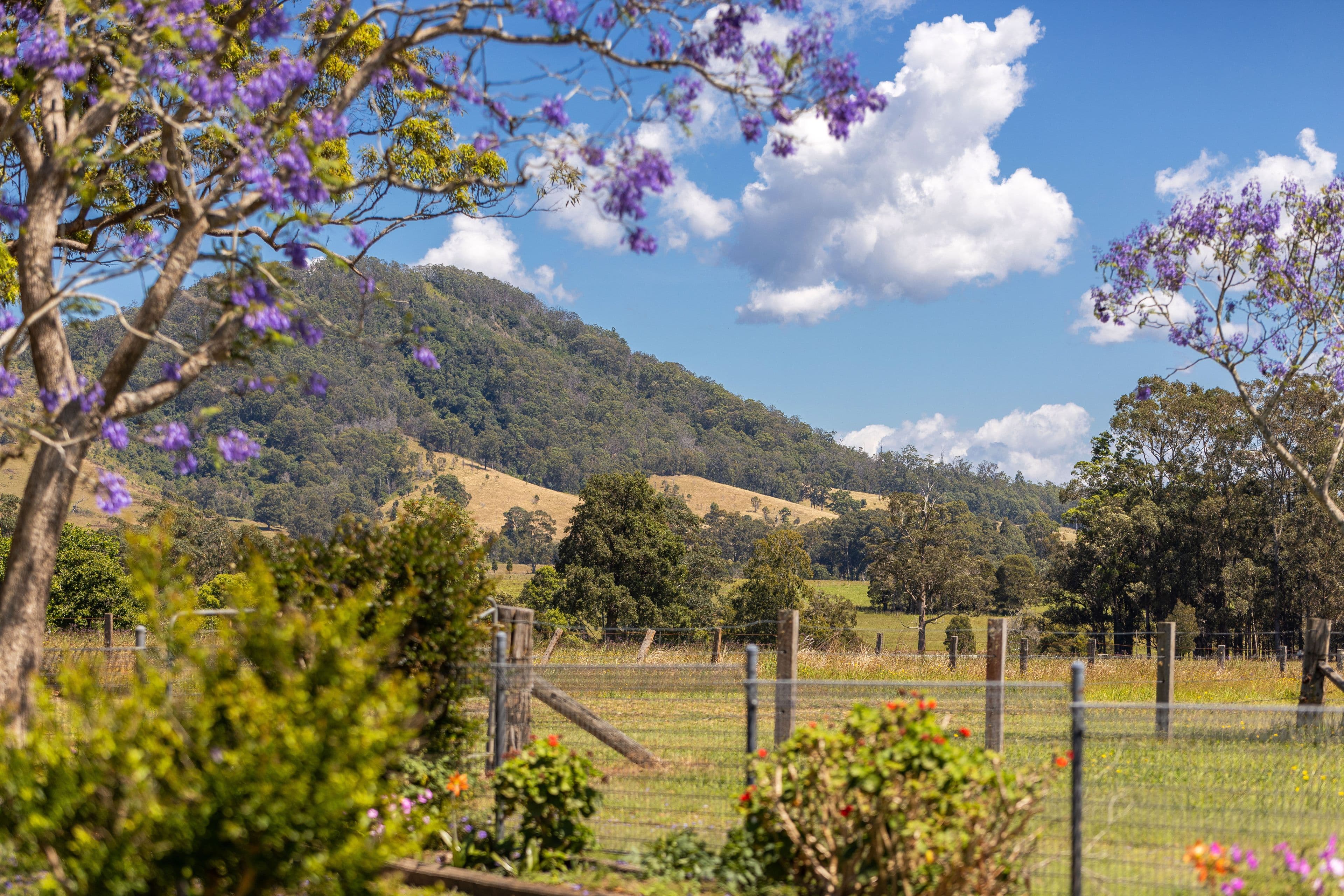 466 Comboyne Road, Wingham NSW 2429, Wingham - Thumbnail 5