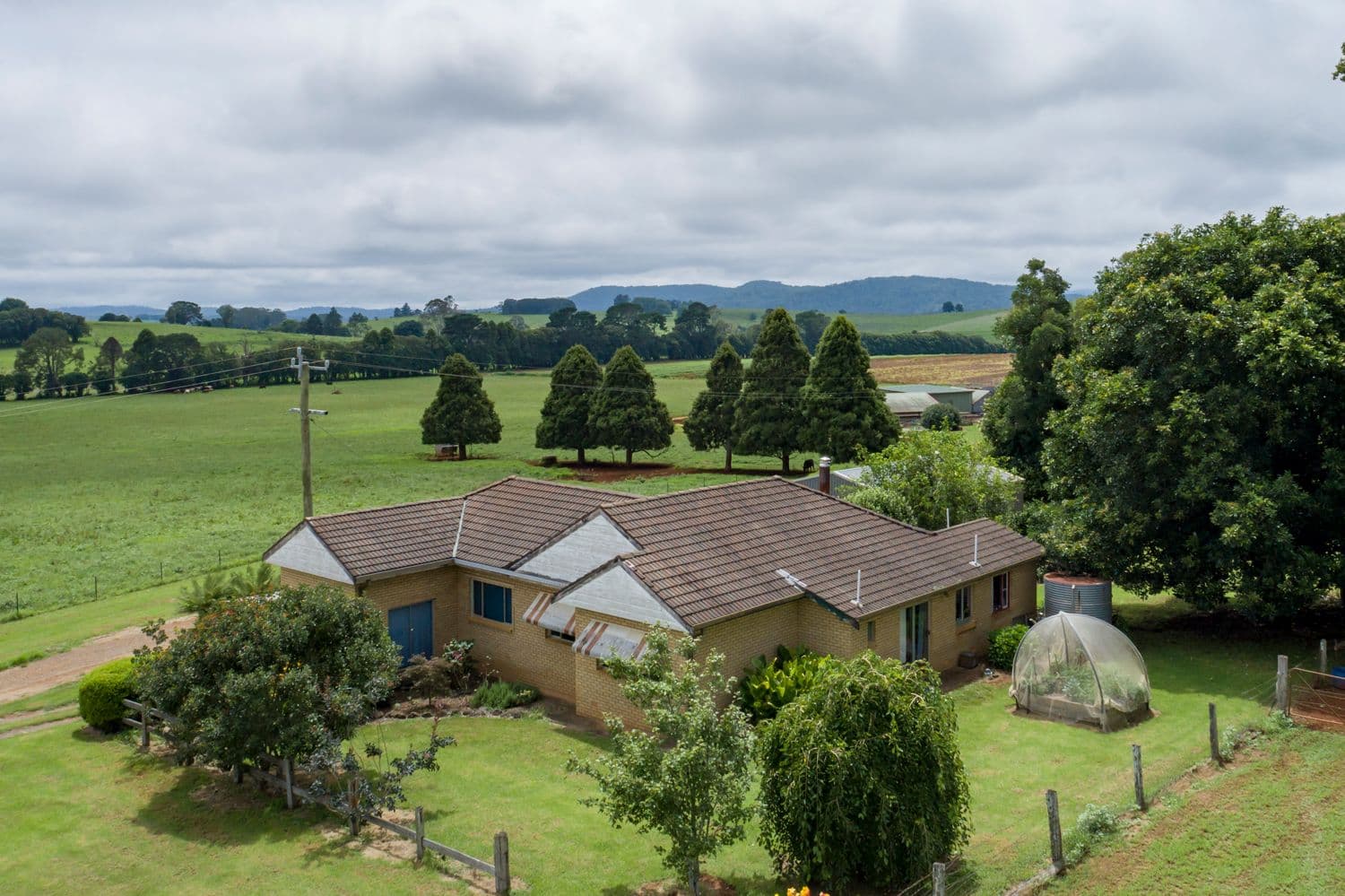 68 Paddys Plains Road, Dorrigo NSW 2453, Dorrigo - Thumbnail 4