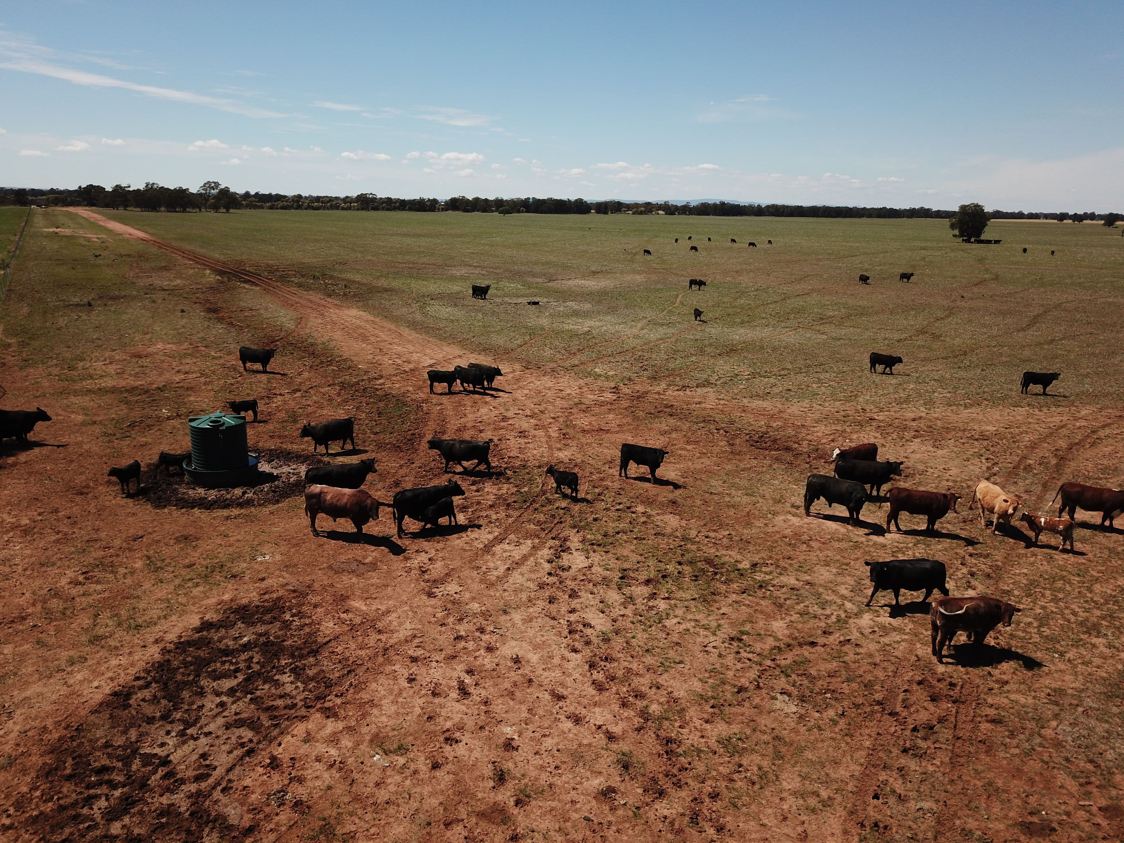 'Glengarry' Wyanga Road, Narromine NSW 2821, Narromine - Thumbnail 4