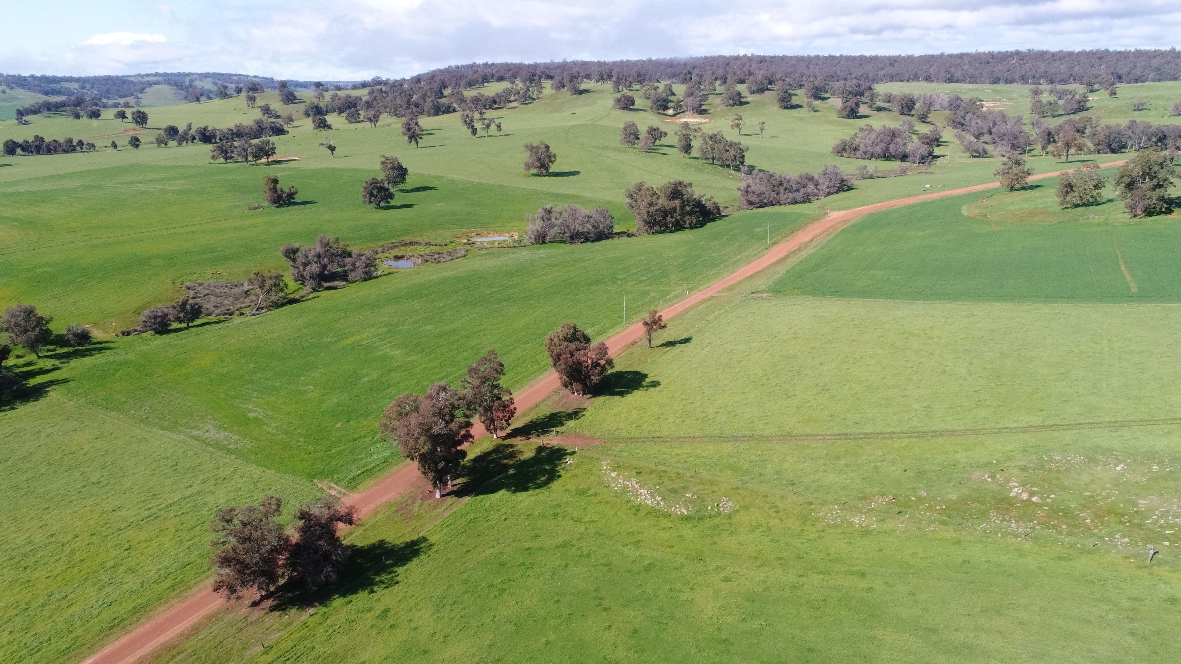 6856 Harvey Quindanning Road, Quindanning WA 6391, Quindanning - Thumbnail 2