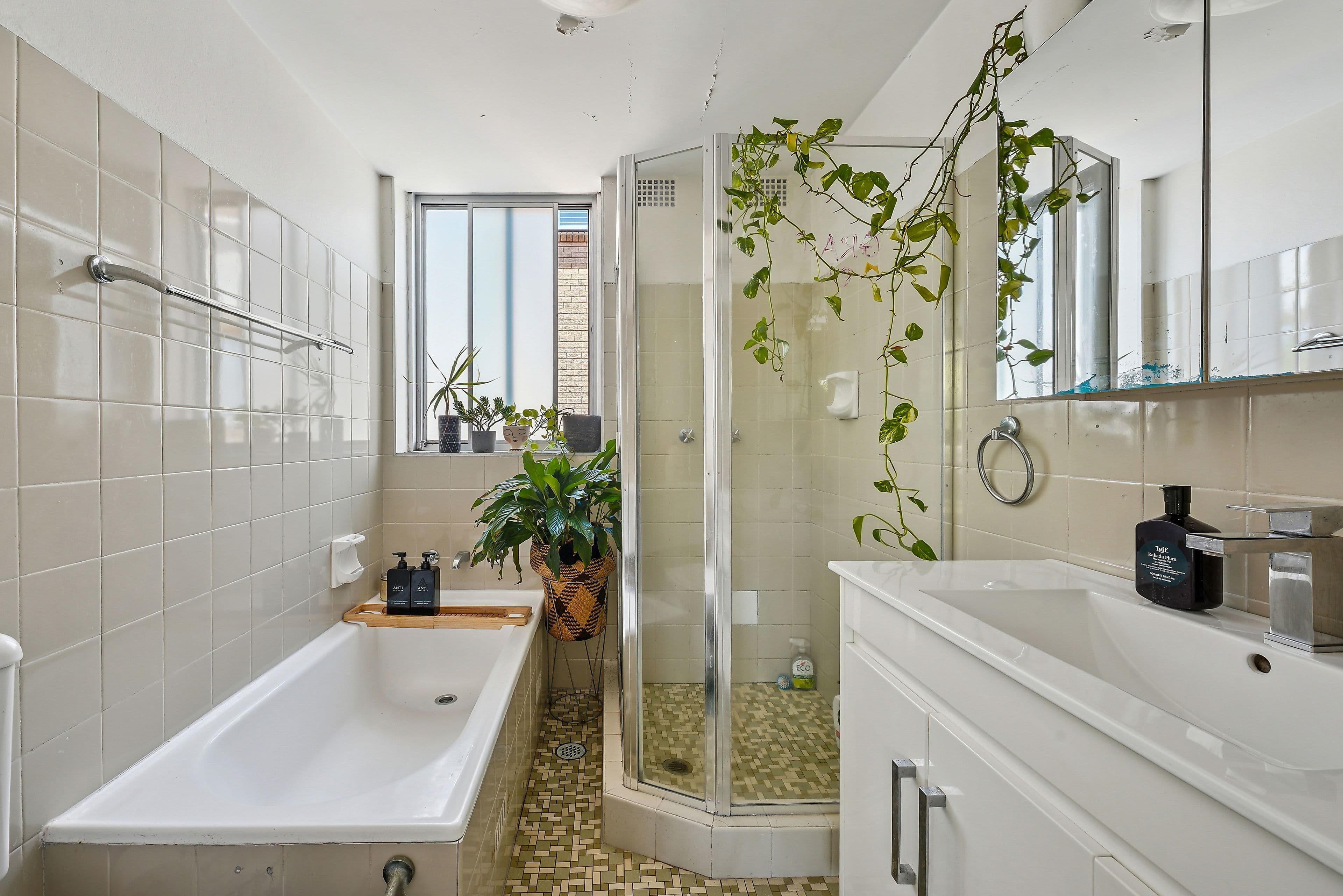 56 Chaleyer Street, Rose Bay NSW 2029, Rose Bay - Thumbnail 5