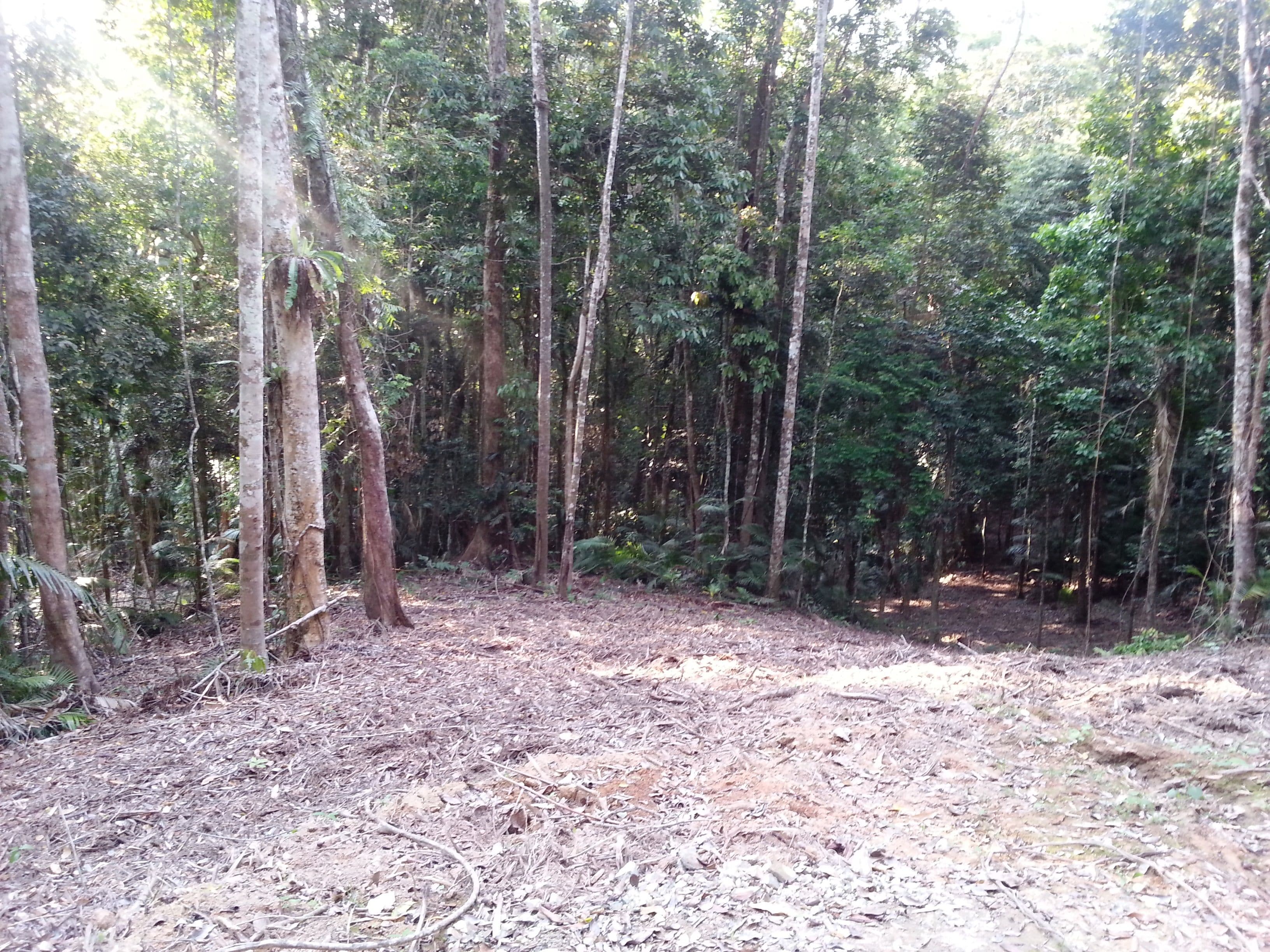 Lot 12 Whipbird Close, Speewah QLD 4881, Speewah - Thumbnail 3