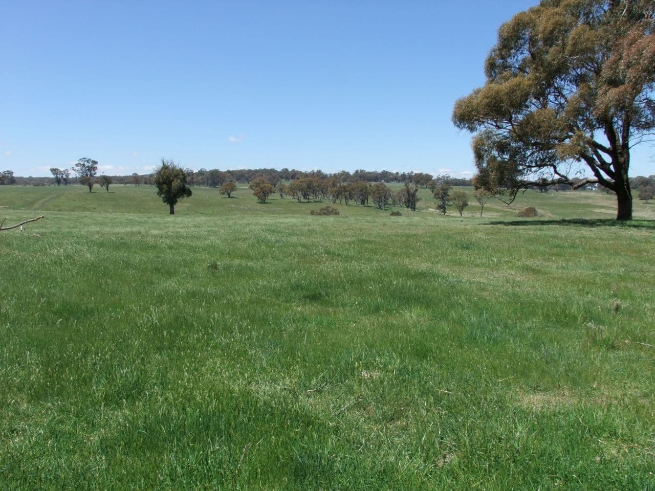 Neville NSW 2799, Neville - Thumbnail 4