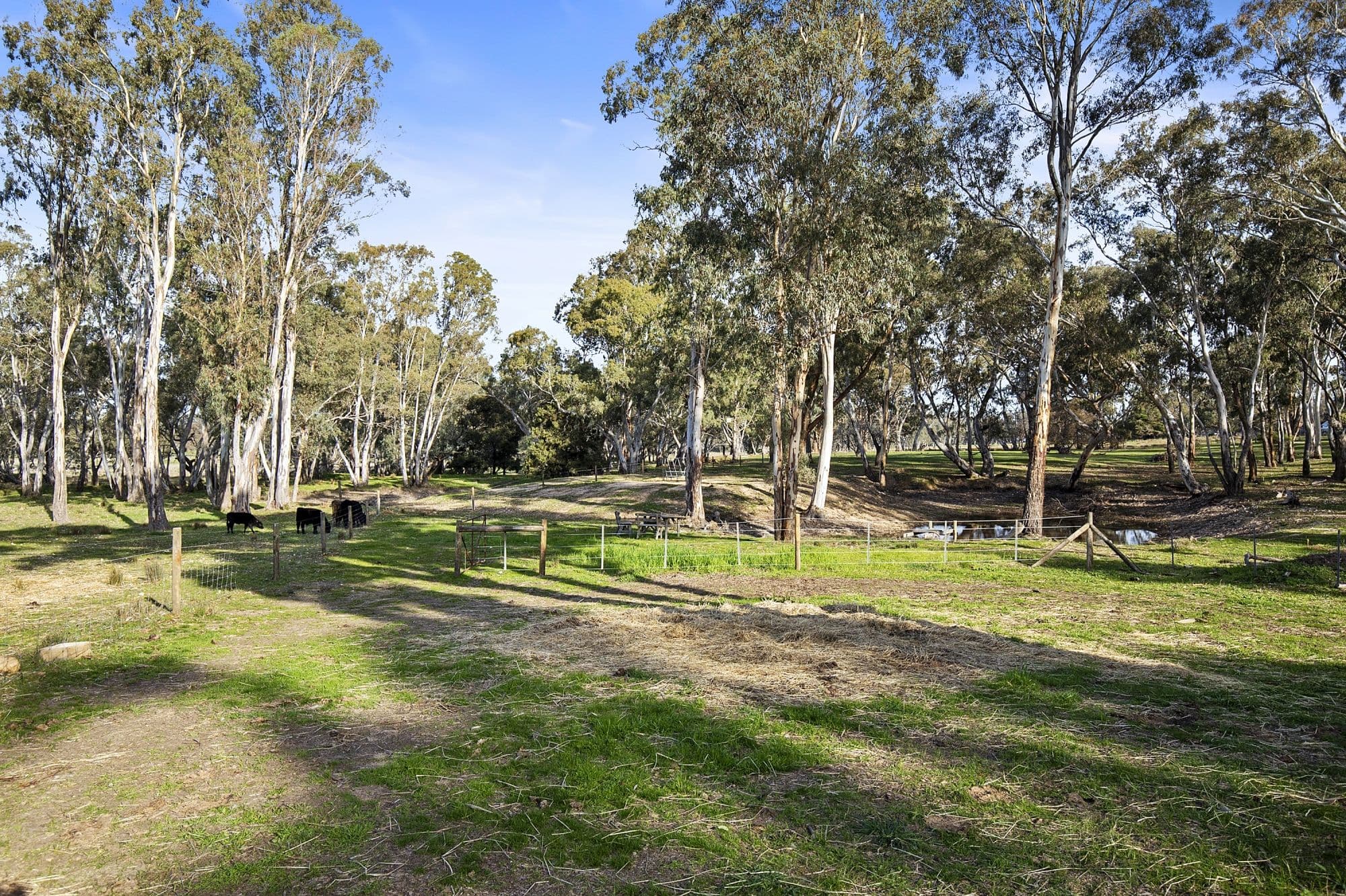 1015 Pyrenees Highway, Amphitheatre VIC 3468, Amphitheatre - Thumbnail 6