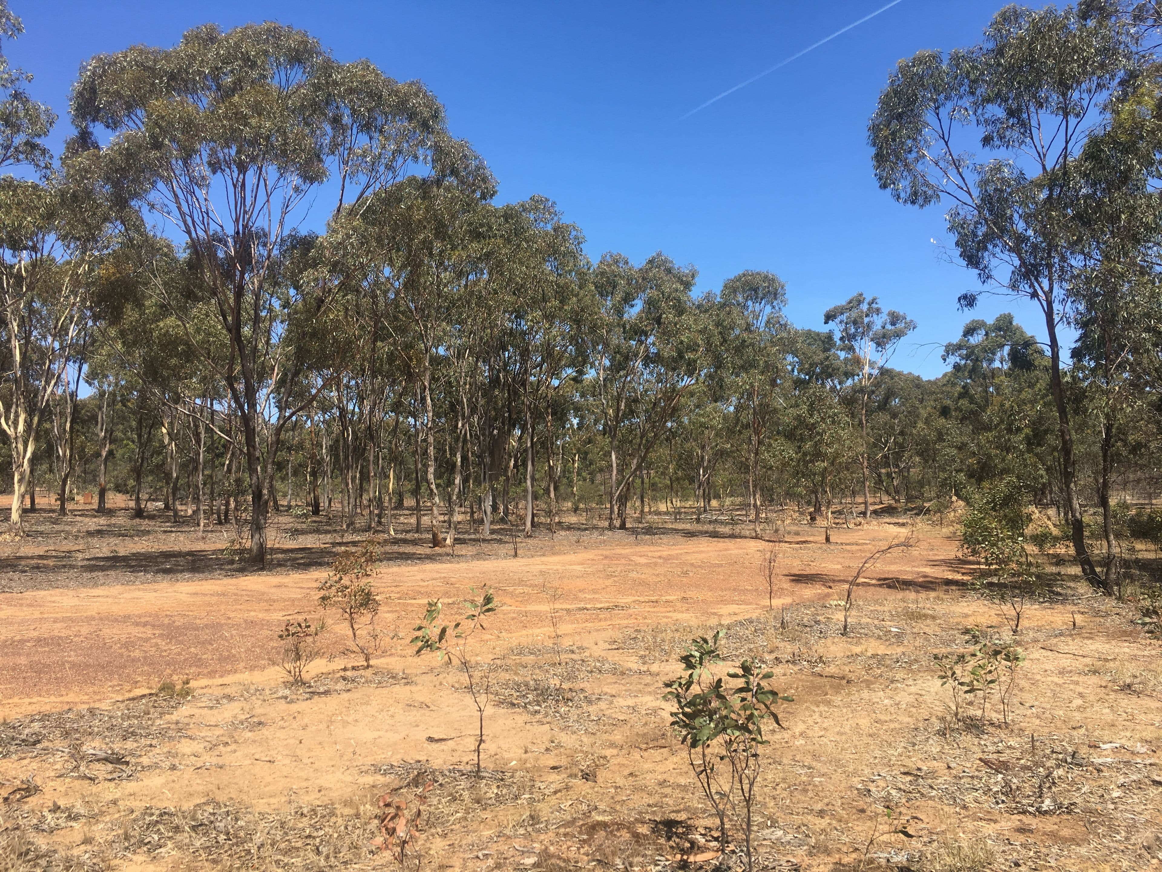 28 Forster Lane, Landsborough VIC 3384, Landsborough - Thumbnail 4