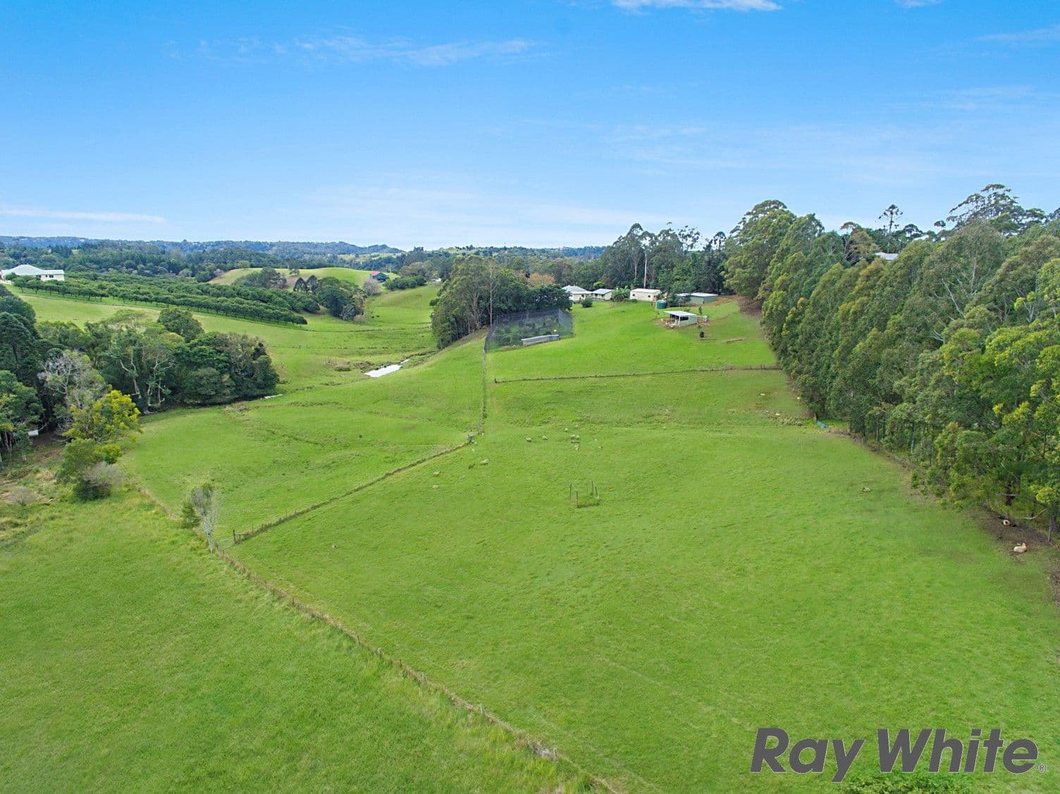 171 Burgum Road, North Maleny QLD 4552, North Maleny - Thumbnail 4