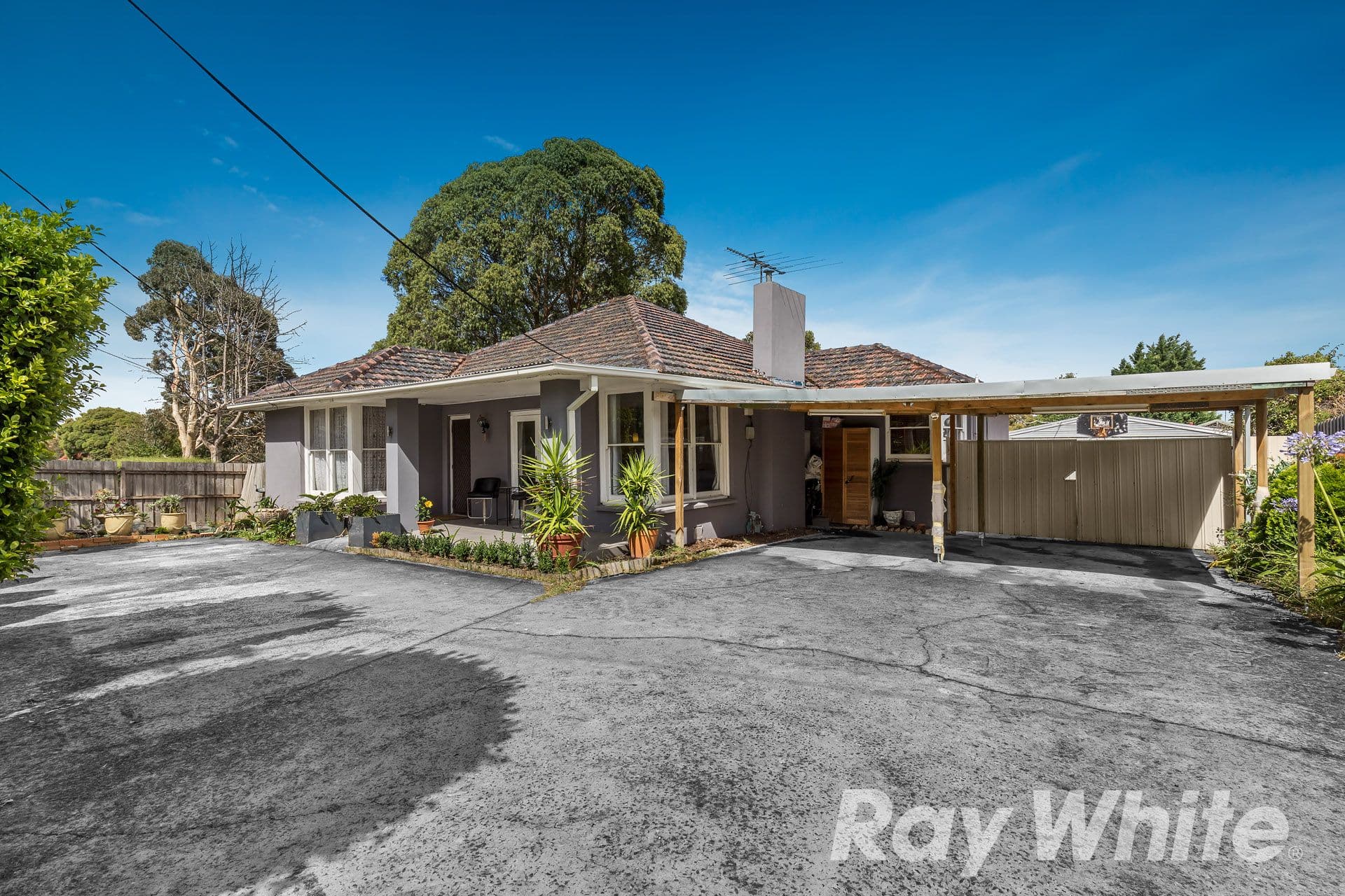 28 Dobell Street, Blackburn South VIC 3130, Blackburn South - Image 1