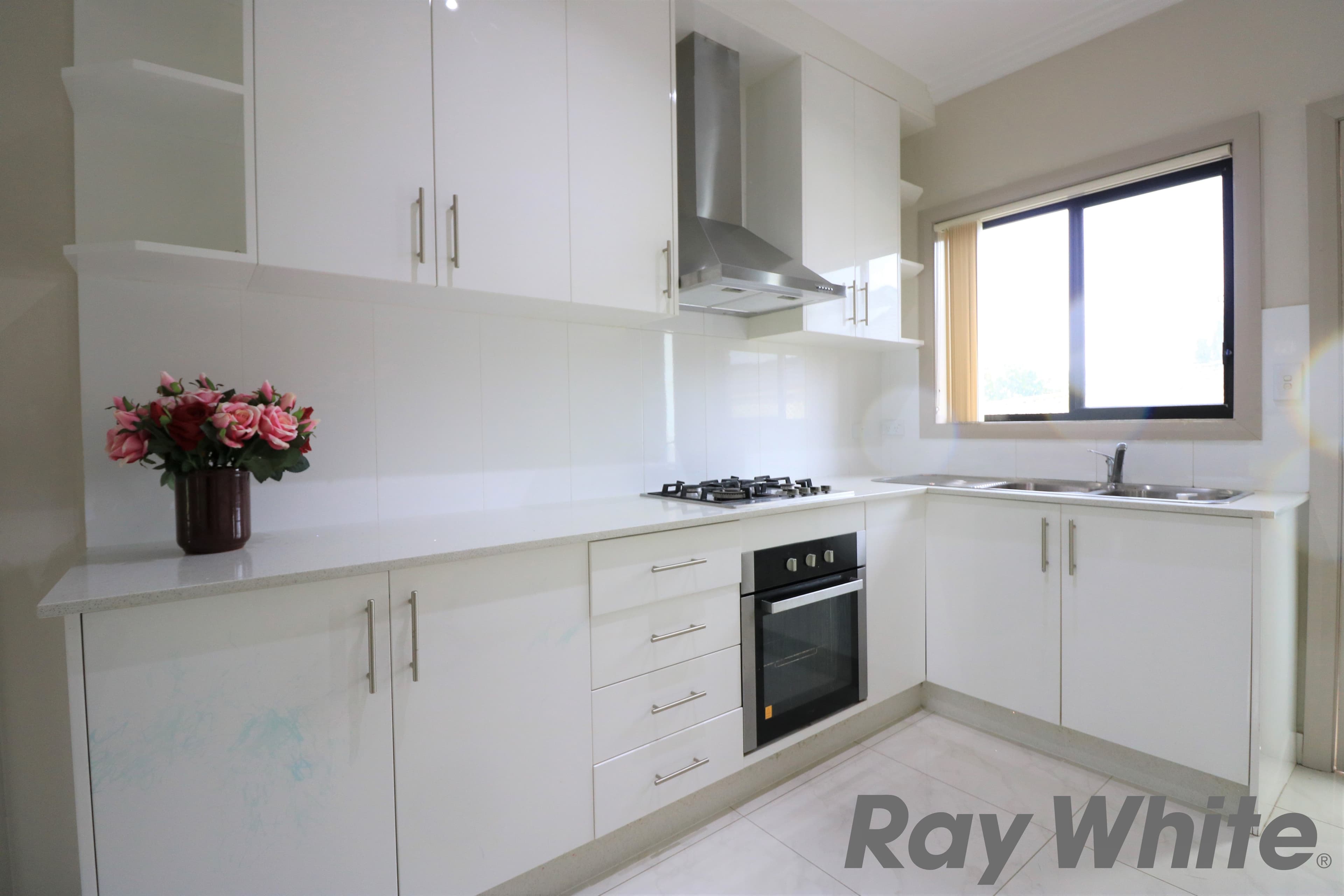 55 Hydrae Street, Revesby NSW 2212, Revesby - Thumbnail 3