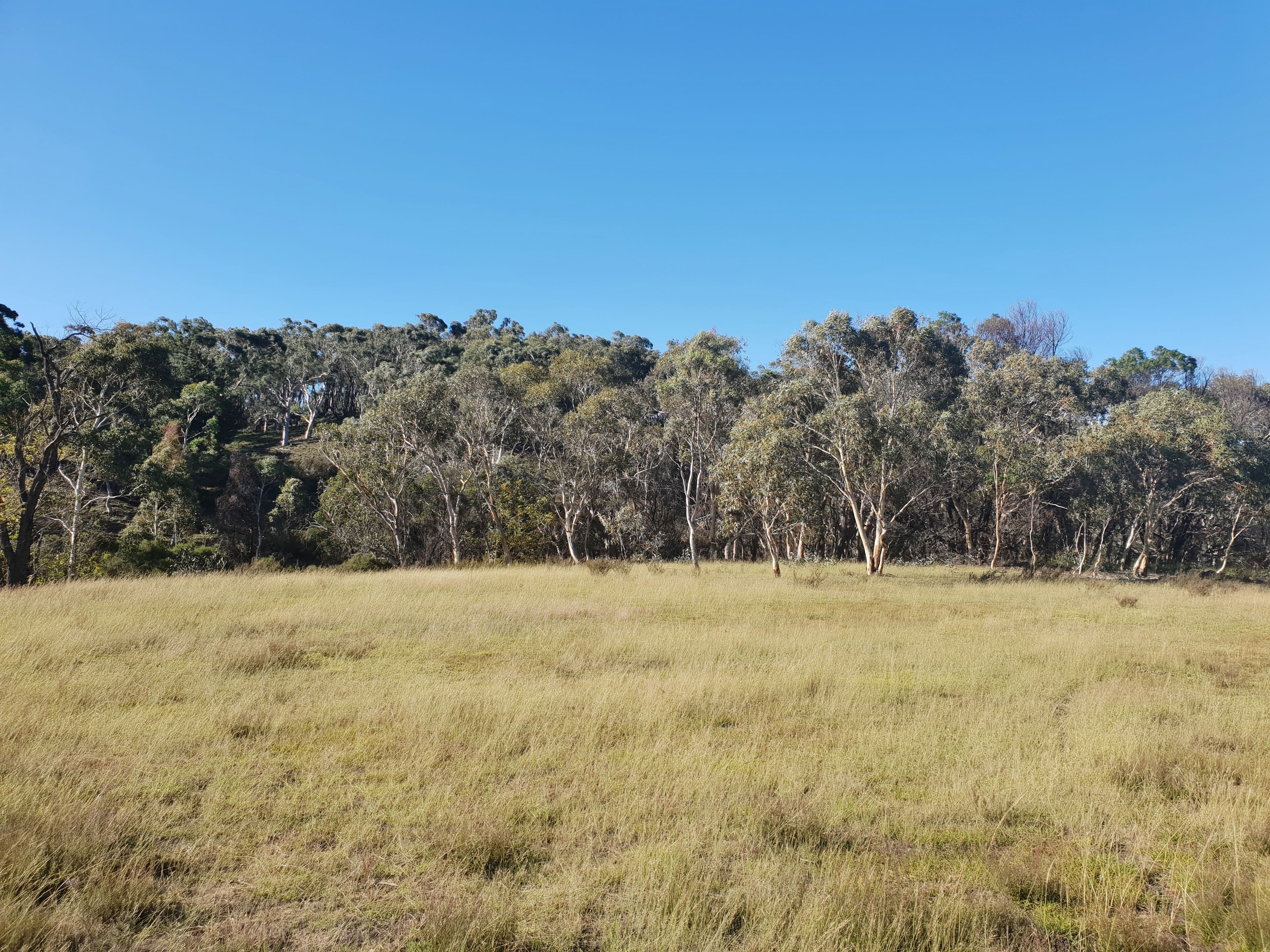 Lot 18 Nerriga Road, Braidwood NSW 2622, Braidwood - Thumbnail 2