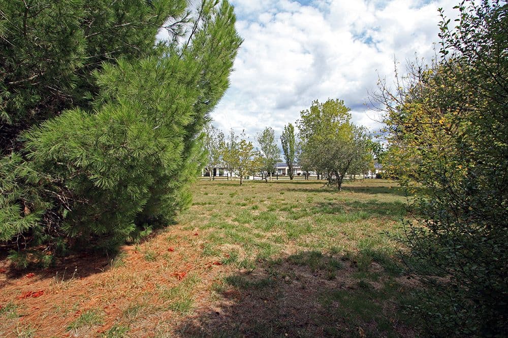 85 Trucking Yard Lane, Bungendore NSW 2621, Bungendore - Thumbnail 4