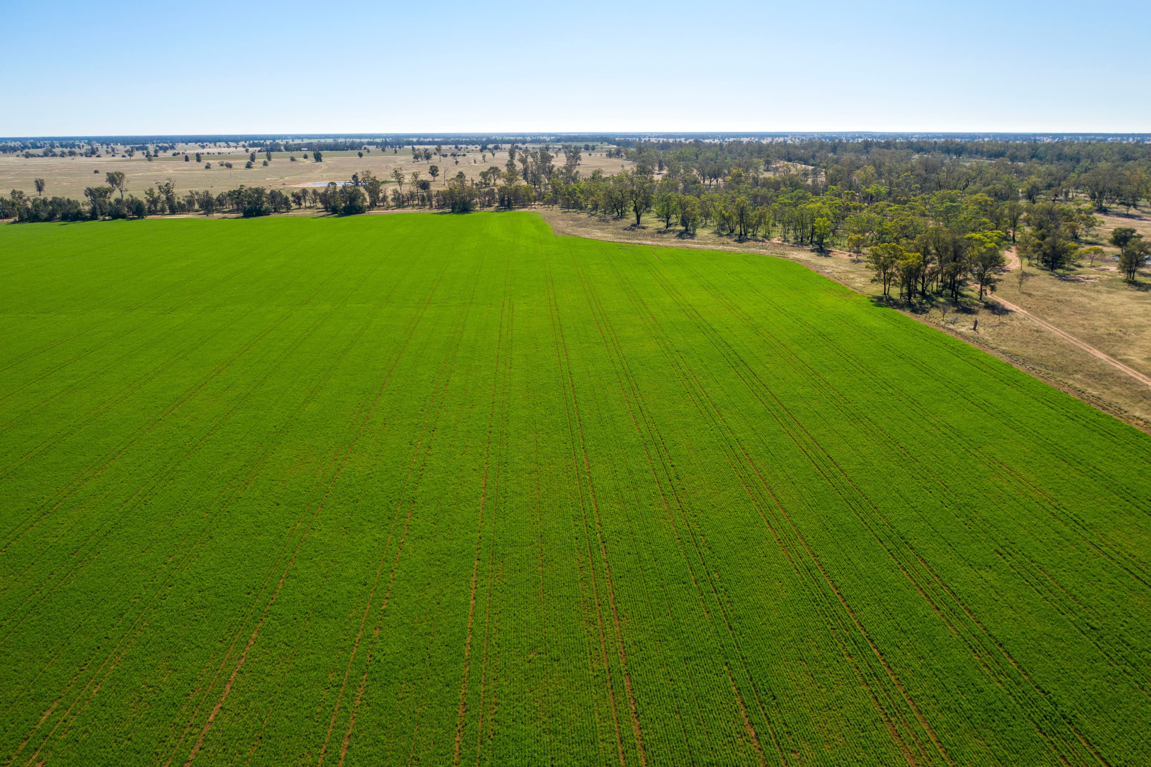 3502 Numalla Road, Peak Hill NSW 2869, Peak Hill - Thumbnail 4
