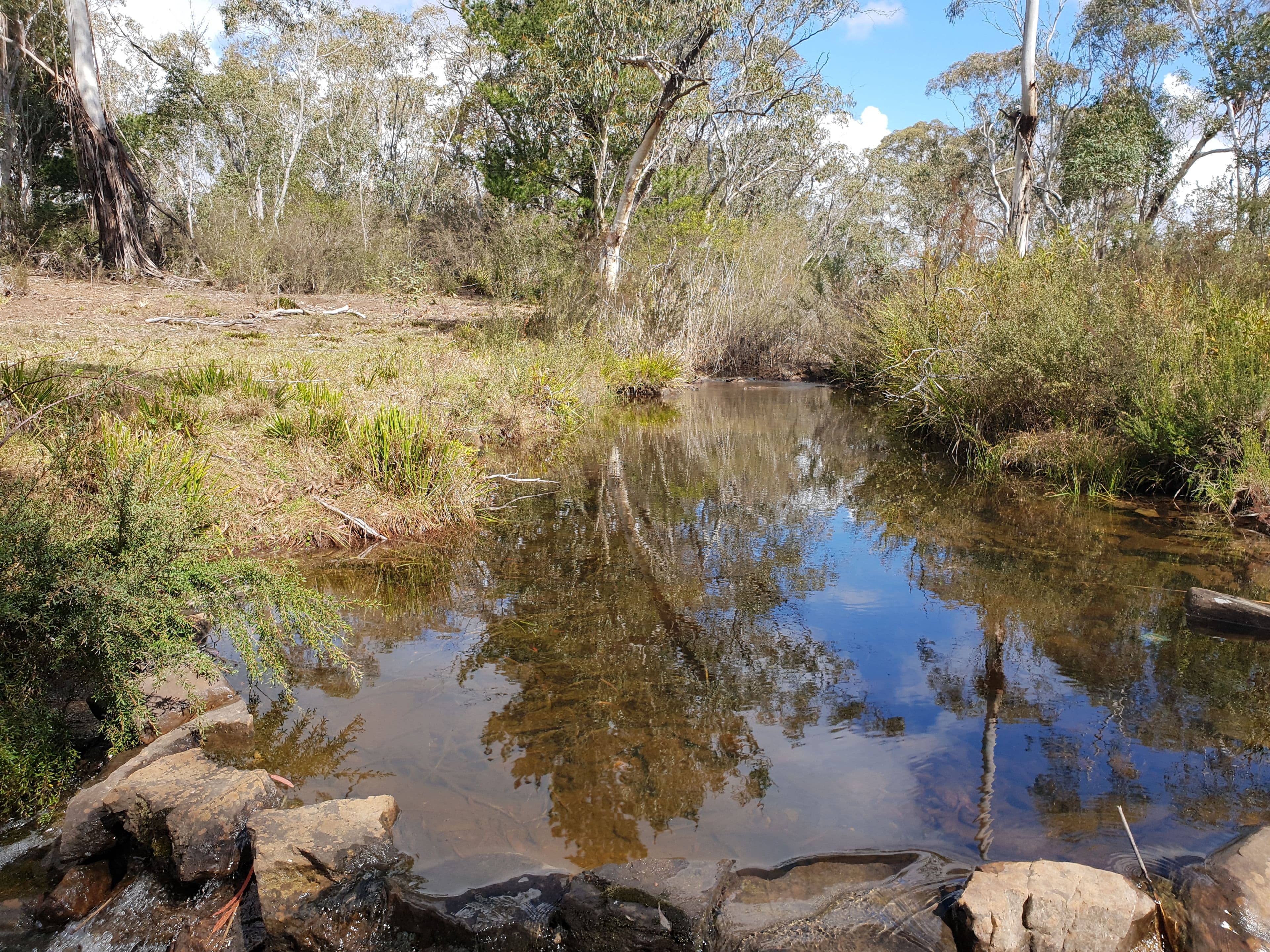 2510 Charleys Forest Road, Nerriga NSW 2622, Nerriga - Thumbnail 3