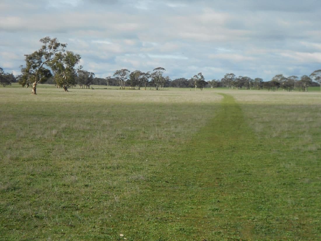 343 Cooper Road, Bordertown South SA 5268, Bordertown South - Thumbnail 6
