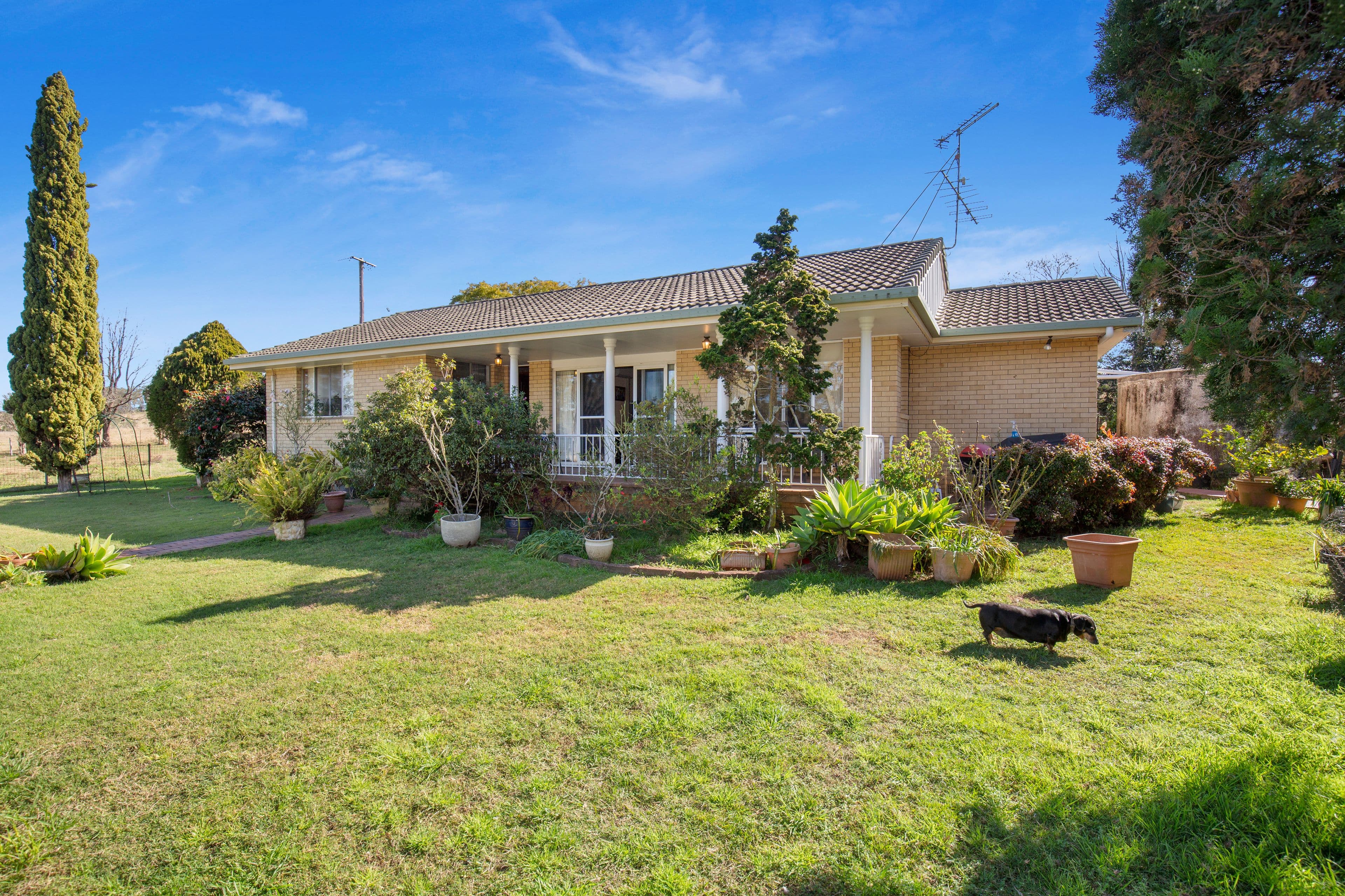 970 Tabulam Road, Tabulam NSW 2469, Tabulam - Thumbnail 6