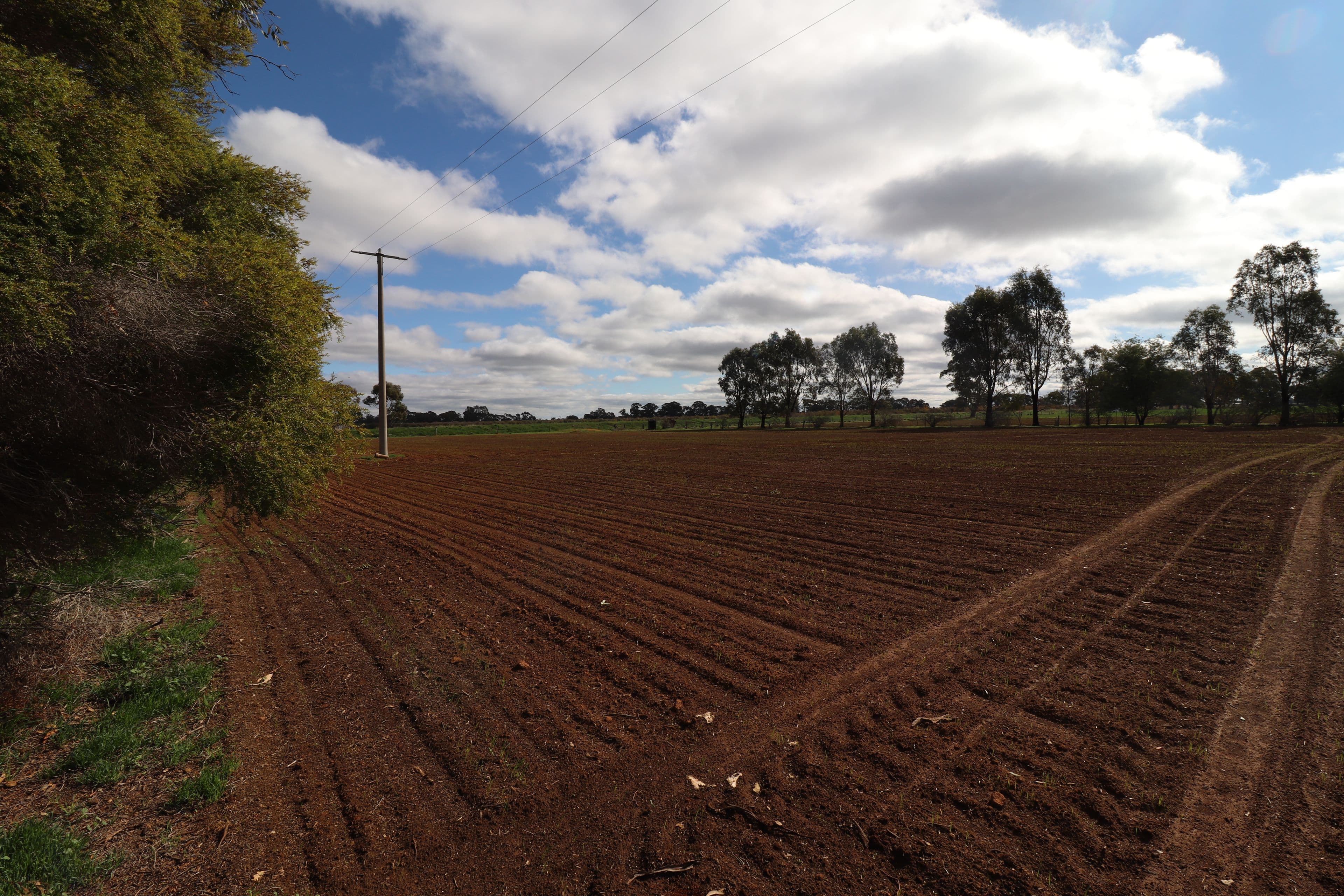 260 Girgarre East Road, Tatura VIC 3616, Tatura - Thumbnail 3