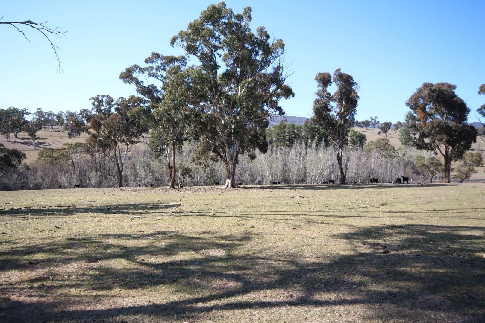 40 Bundaleer Road, O'Connell NSW 2795, O'Connell - Thumbnail 8