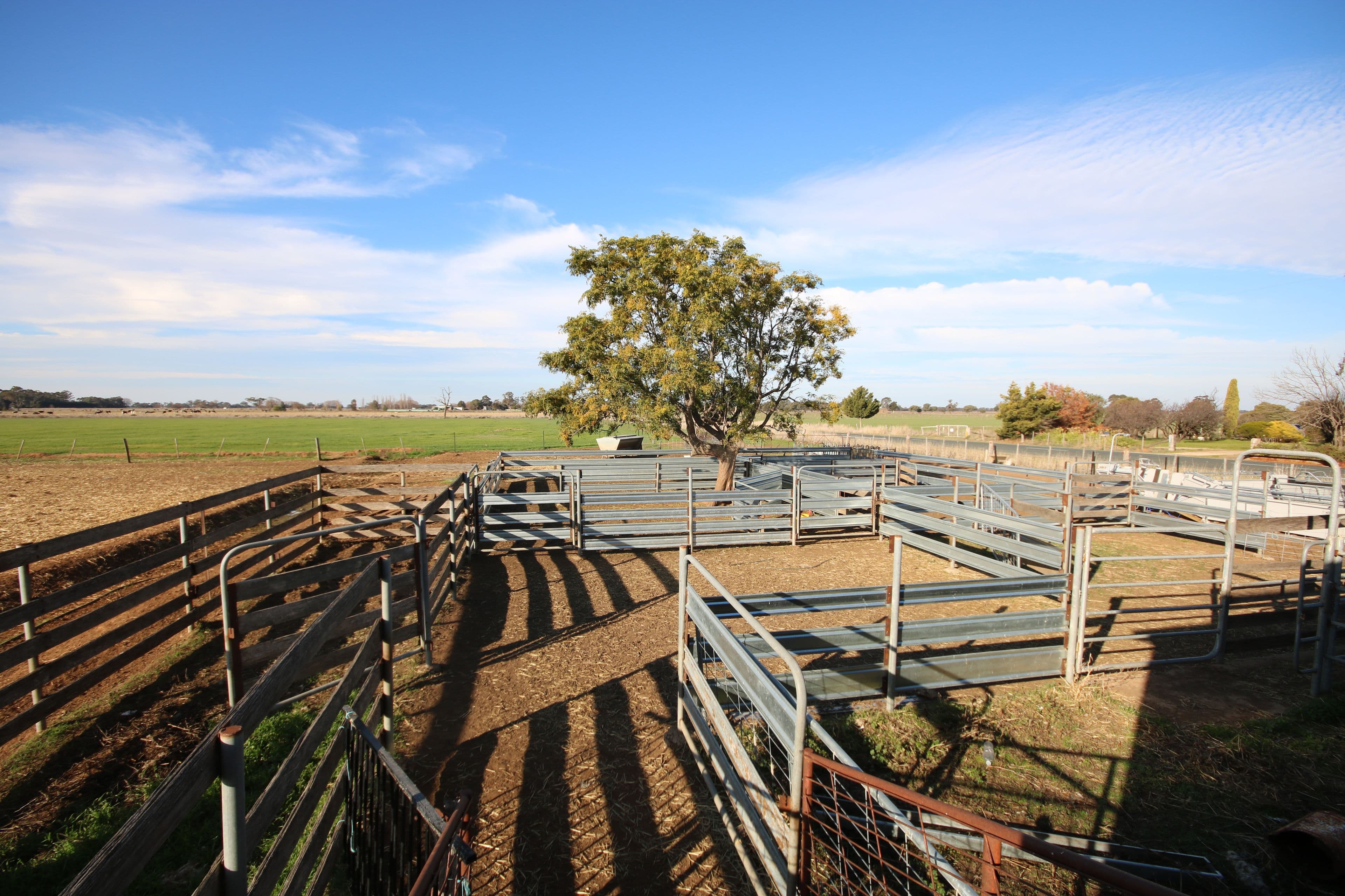 1860 Echuca-Mitiamo Road, Kotta VIC 3565, Kotta - Thumbnail 7