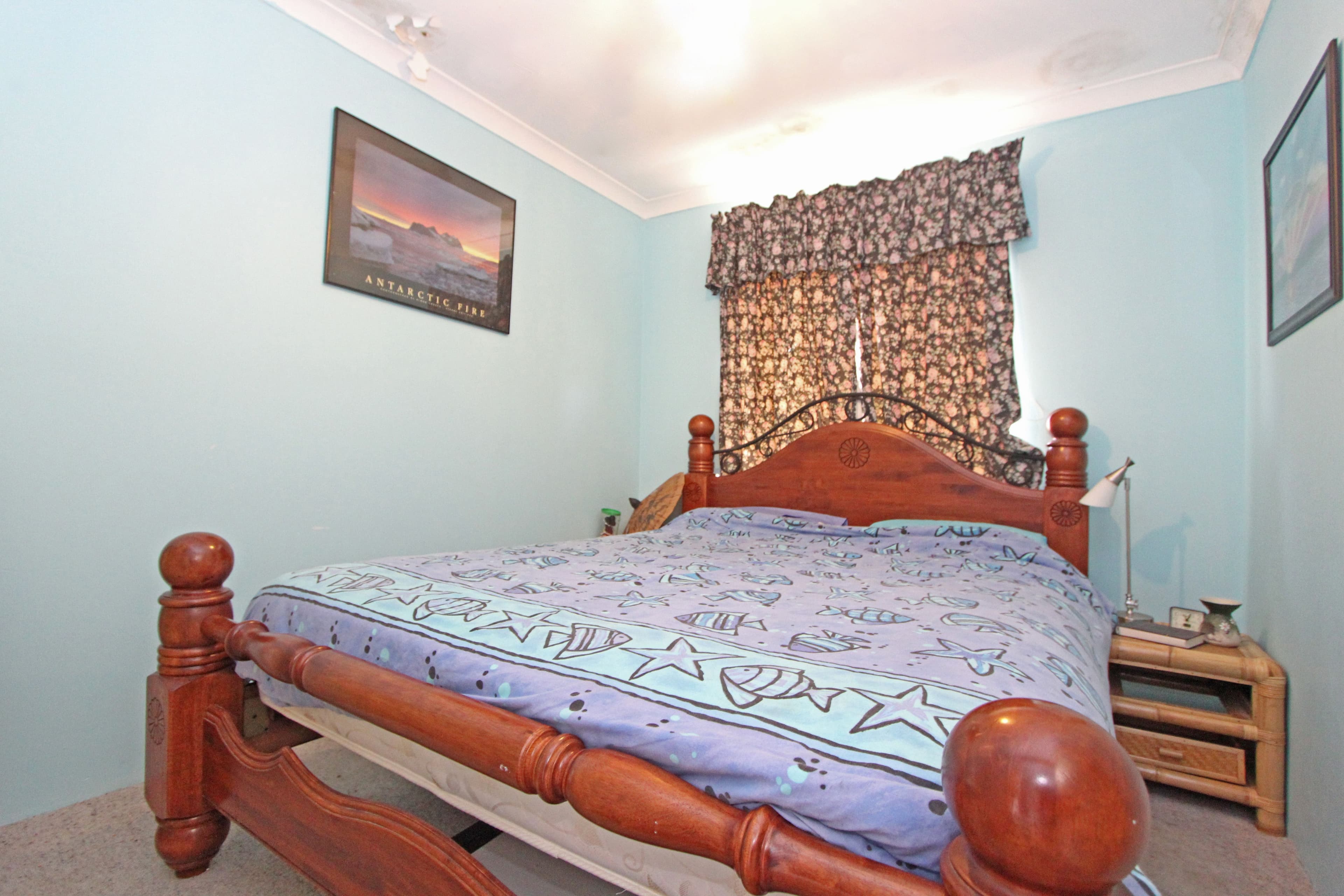 31 Brown Street, Cervantes WA 6511, Cervantes - Thumbnail 5