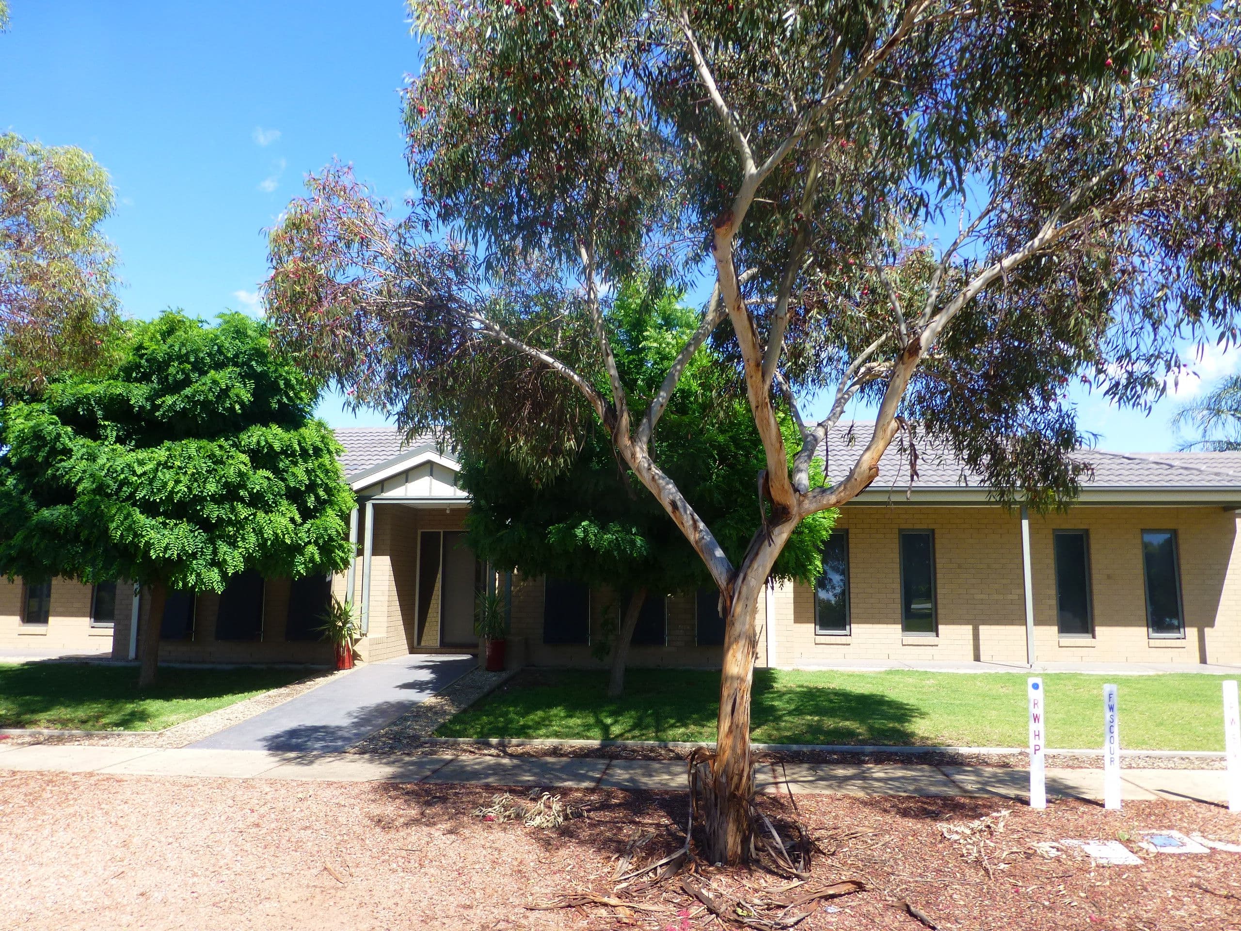 60 Shetland Drive, Moama - Image 1