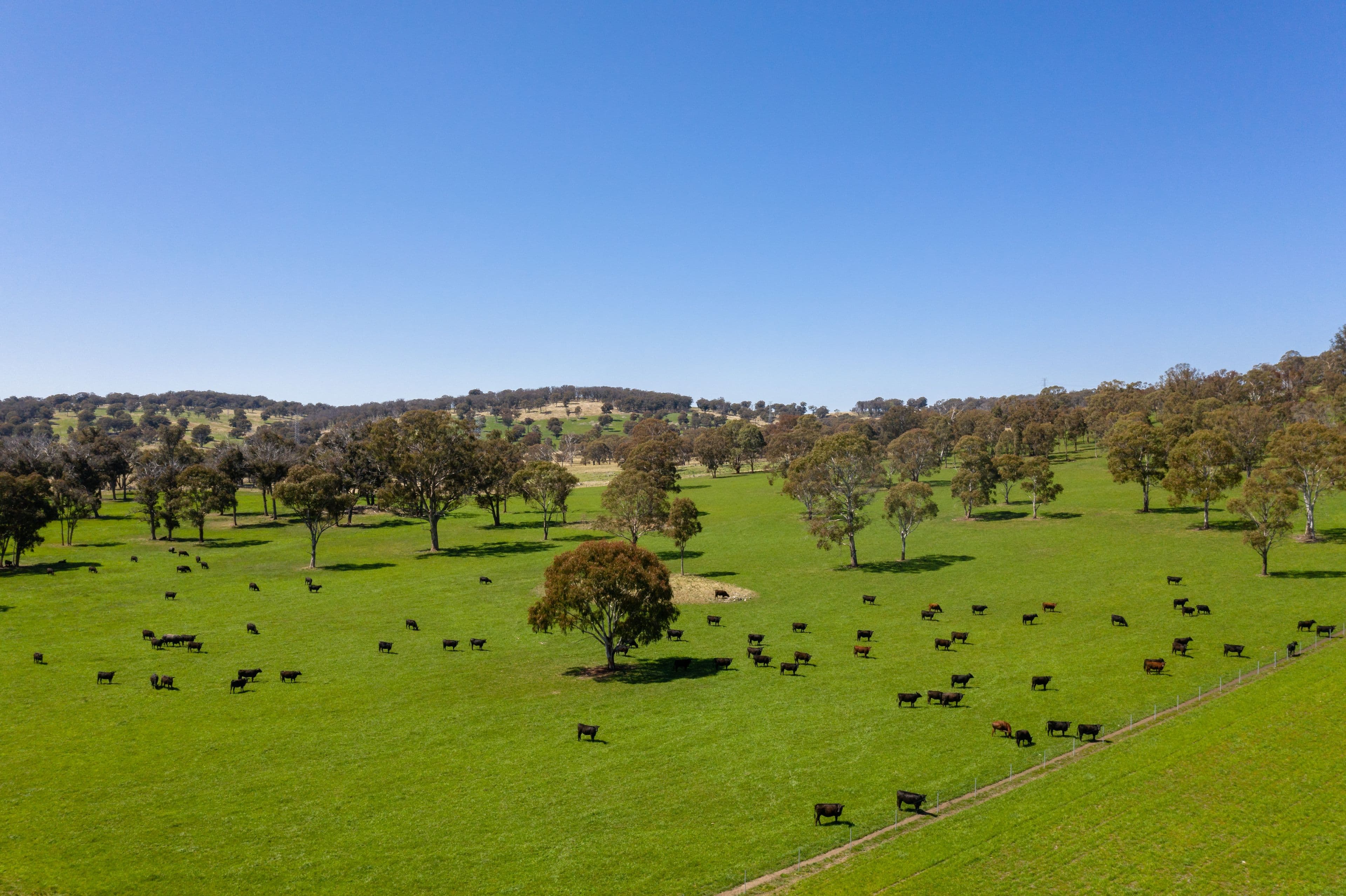 279 Taylors Road, Guyra NSW 2365, Guyra - Thumbnail 8