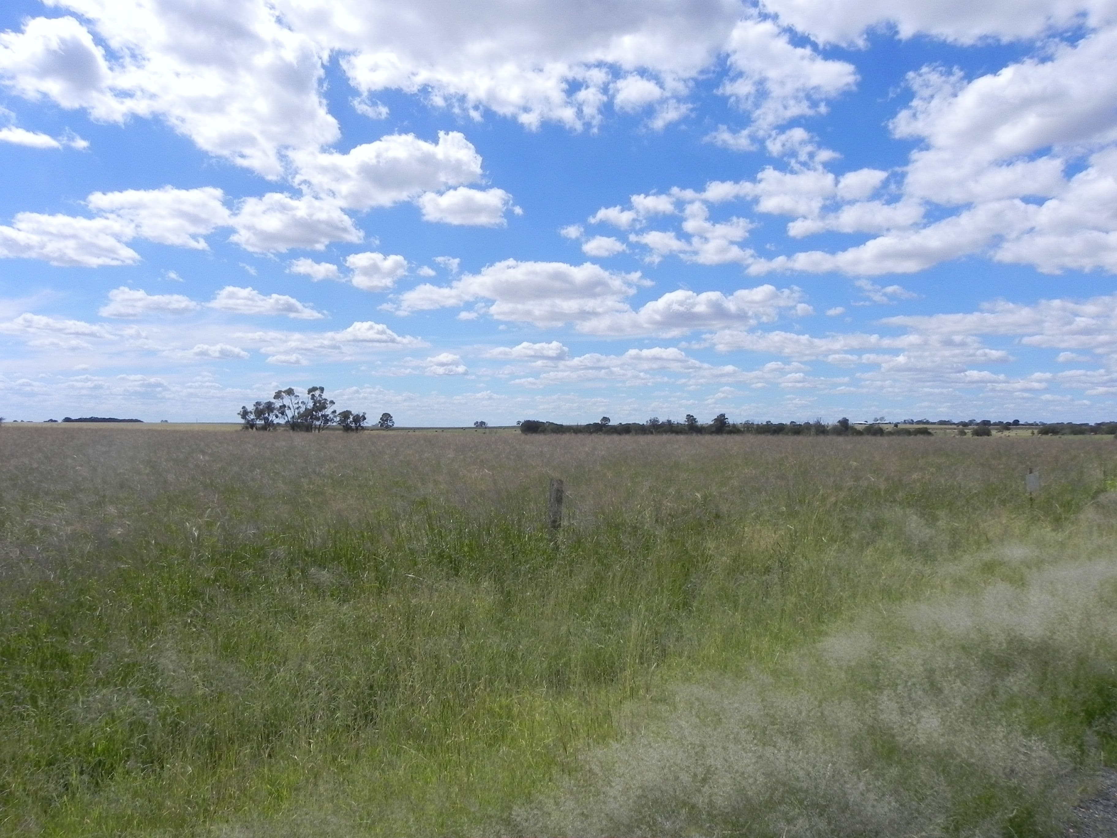 1075 Kooroongarra Road, Lavelle, Millmerran QLD 4357, Millmerran - Thumbnail 7