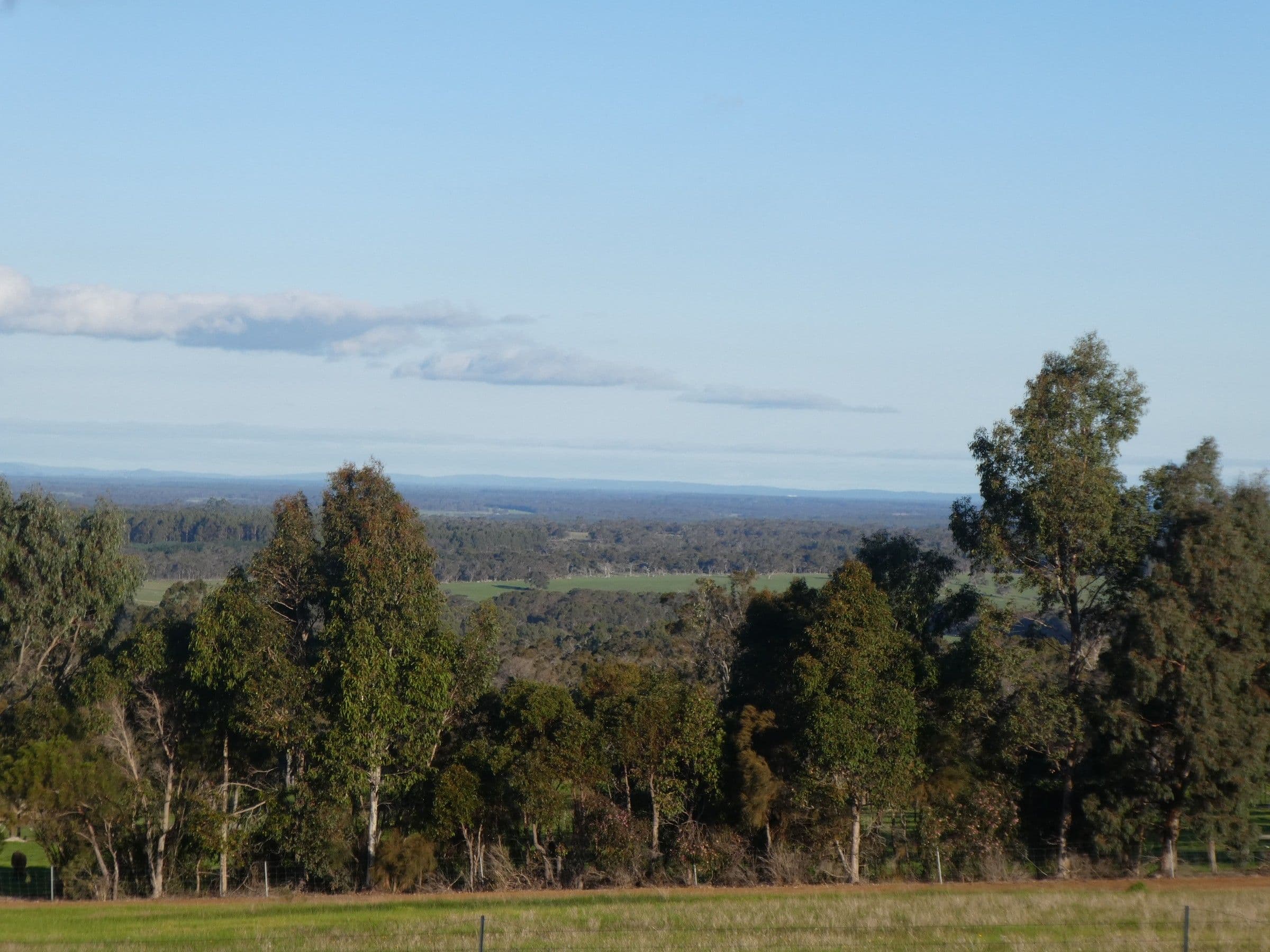 Lot 64 Braidwood Road, Mount Barker WA 6324, Mount Barker - Thumbnail 6