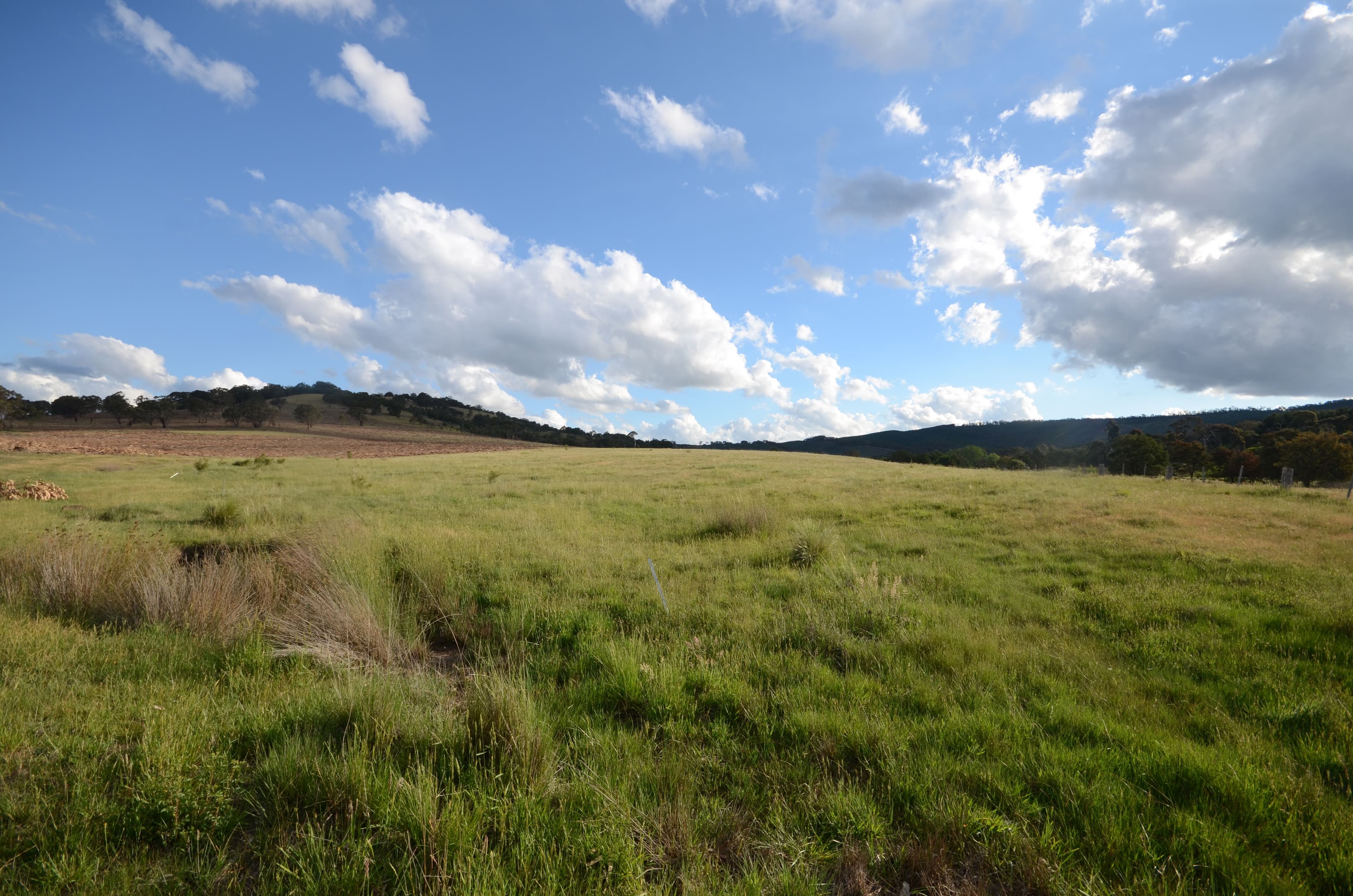 Lot 1 "Cocking C" Mount Lonarch Road, Mount Lonarch VIC 3468, Mount Lonarch - Thumbnail 2